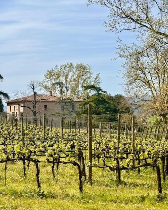 Villa Cosmiana: the gate house apartment view 3