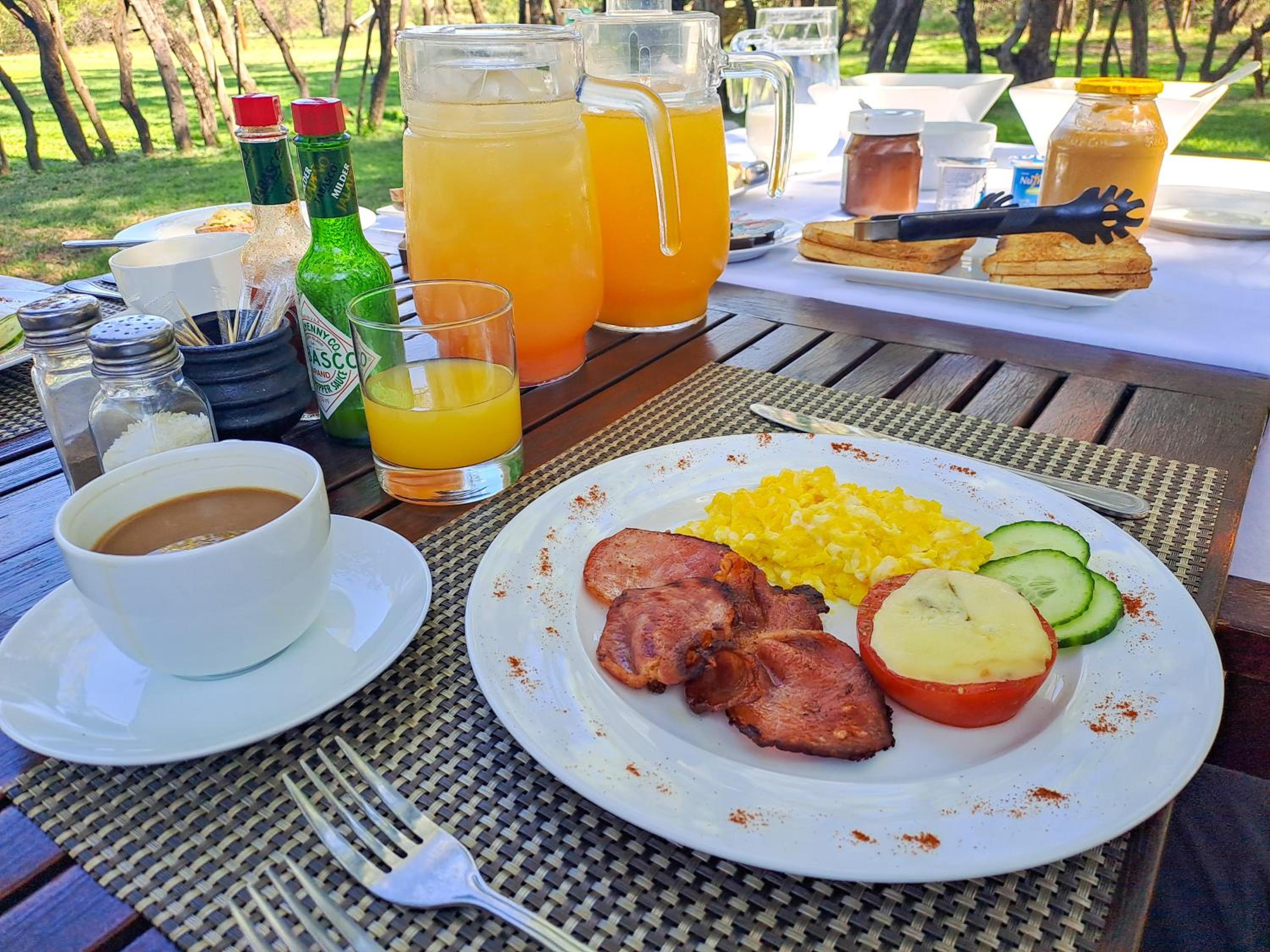 Mziki Safari Lodge