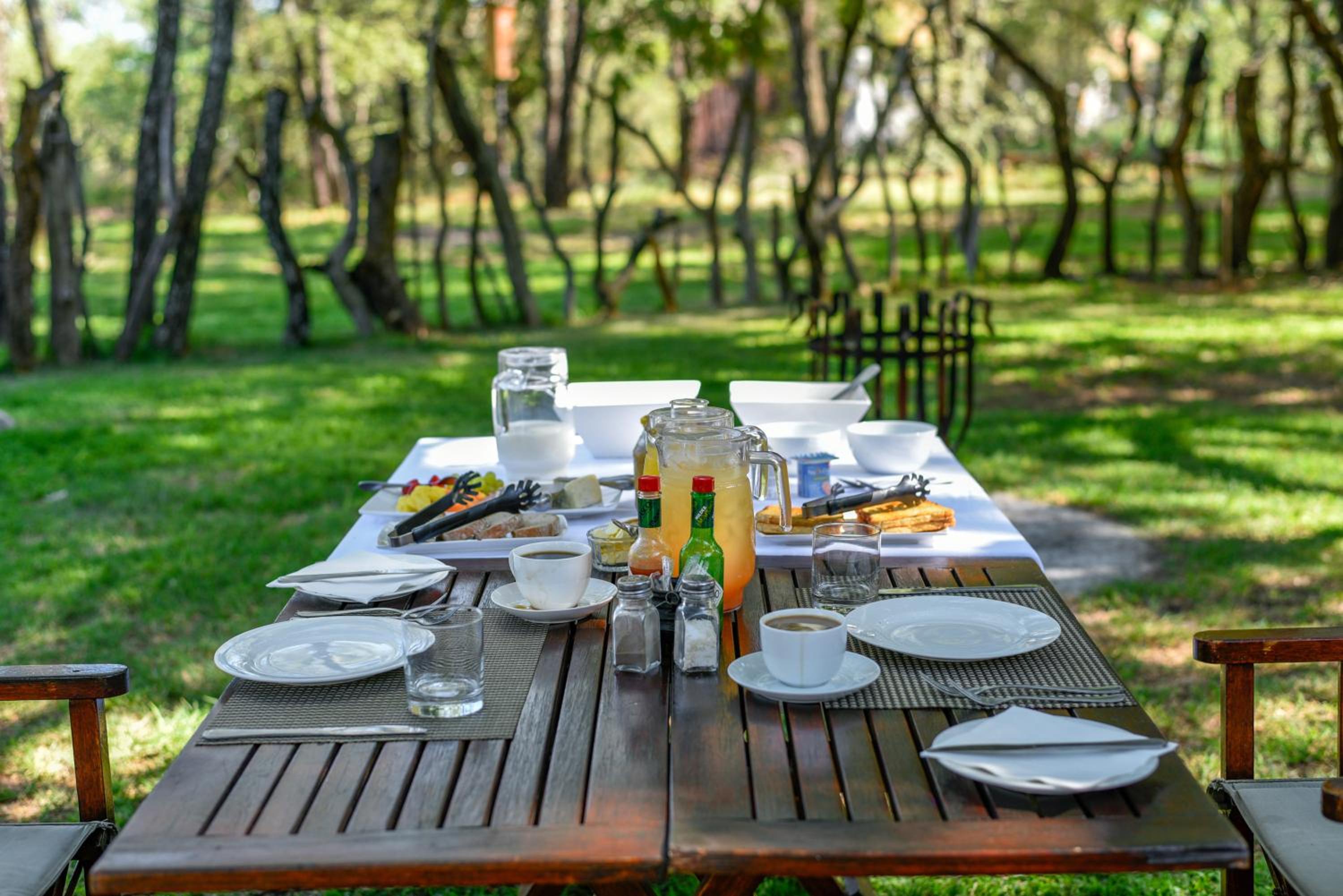 Mziki Safari Lodge