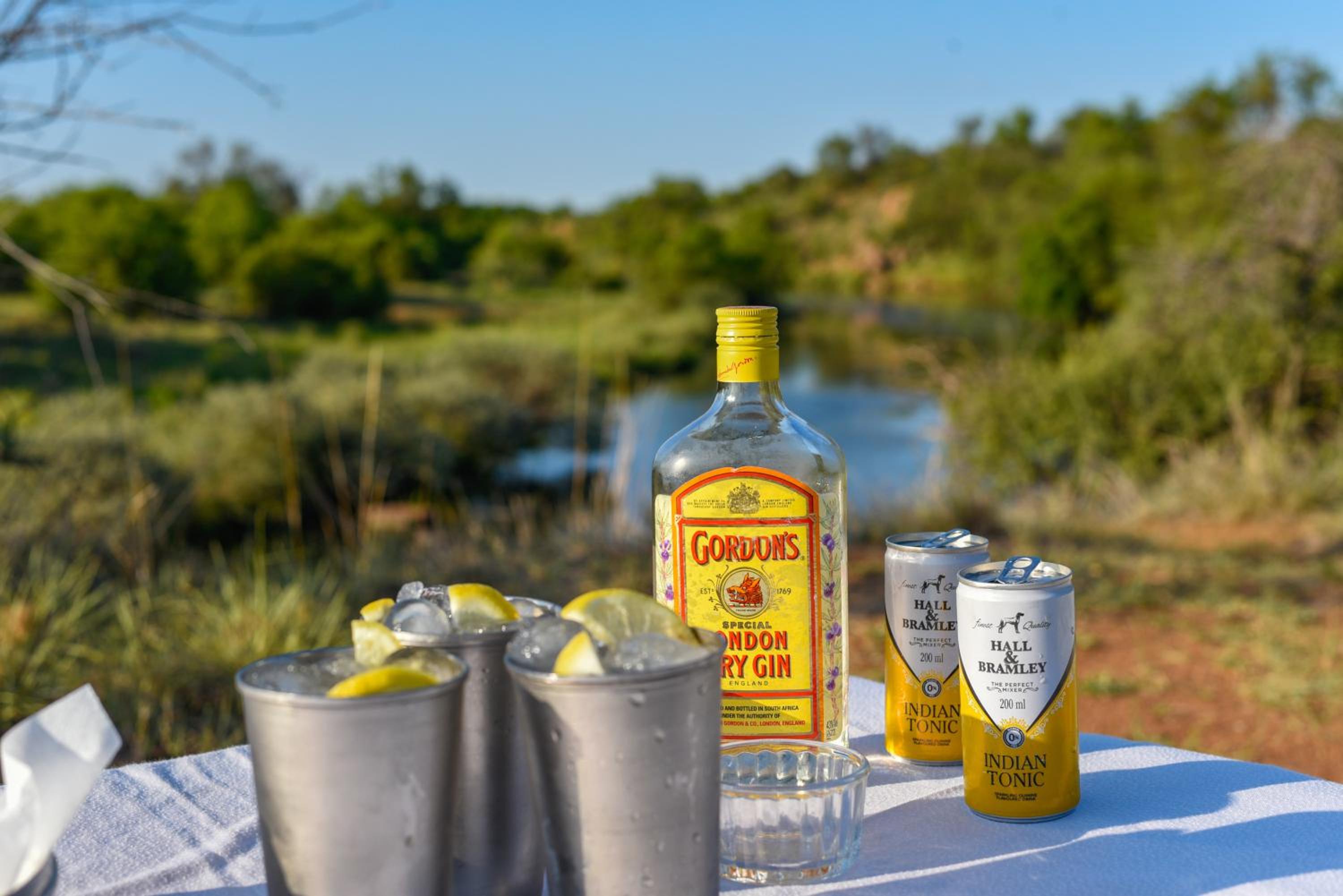 Mziki Safari Lodge