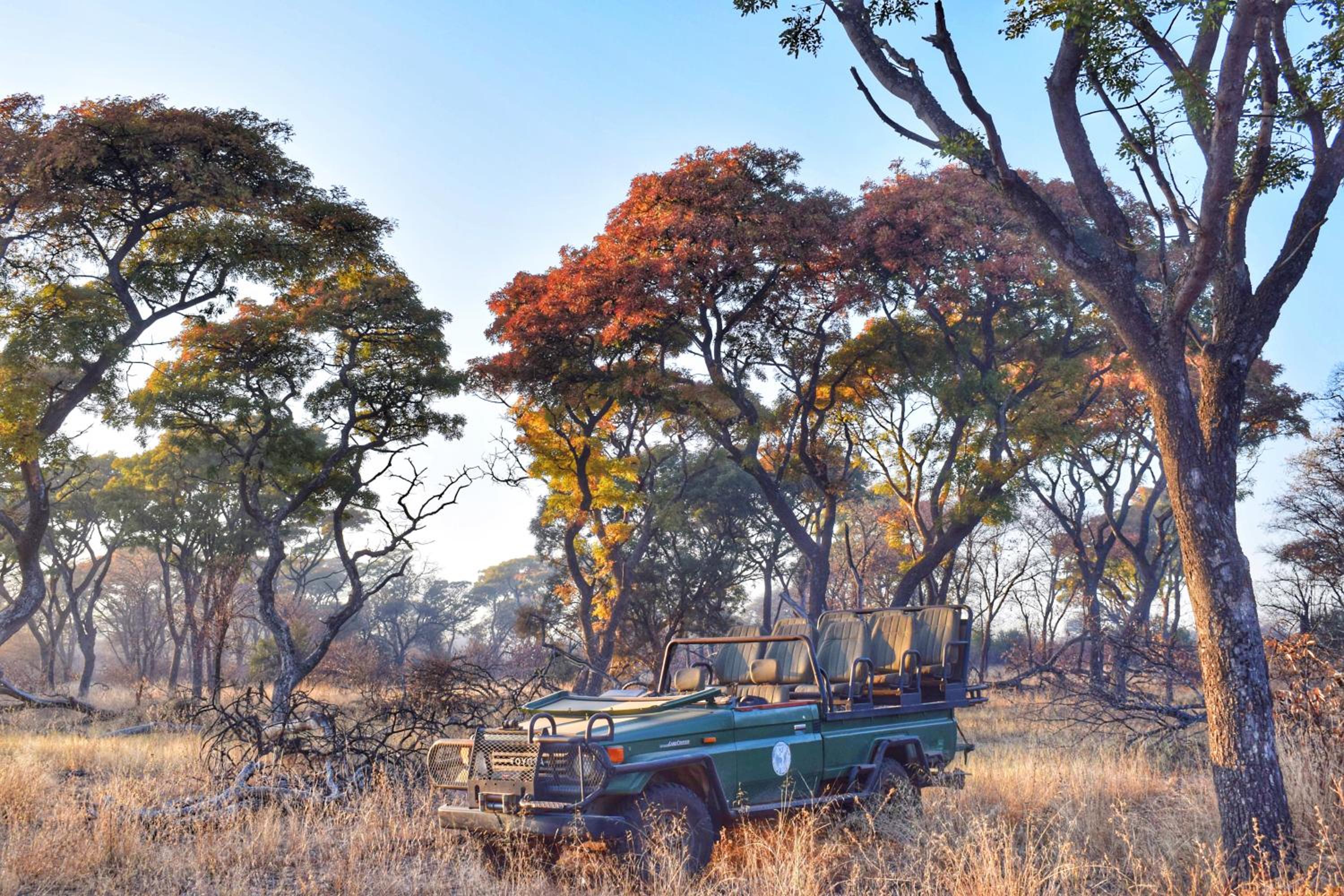 Mziki Safari Lodge