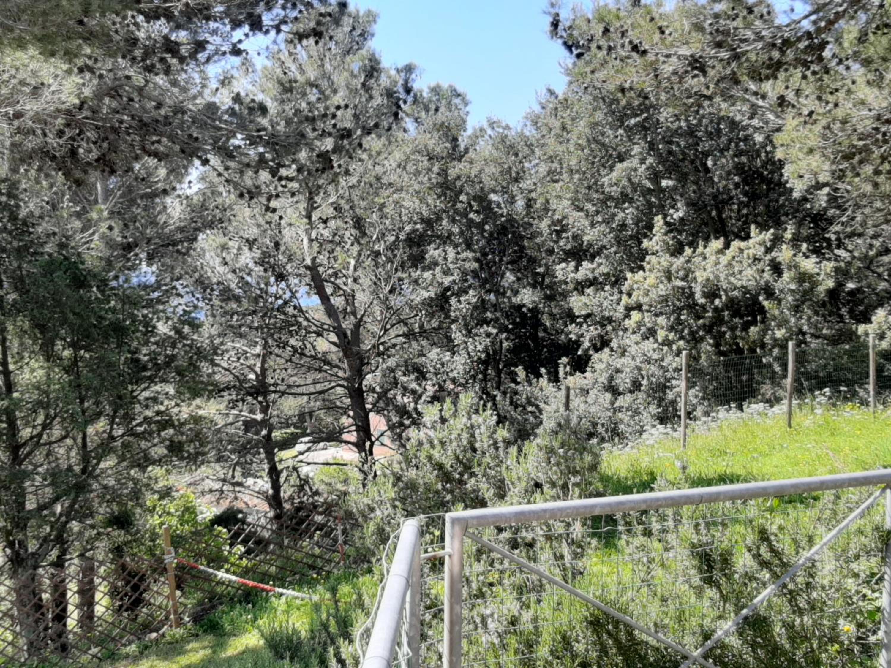Photo 44