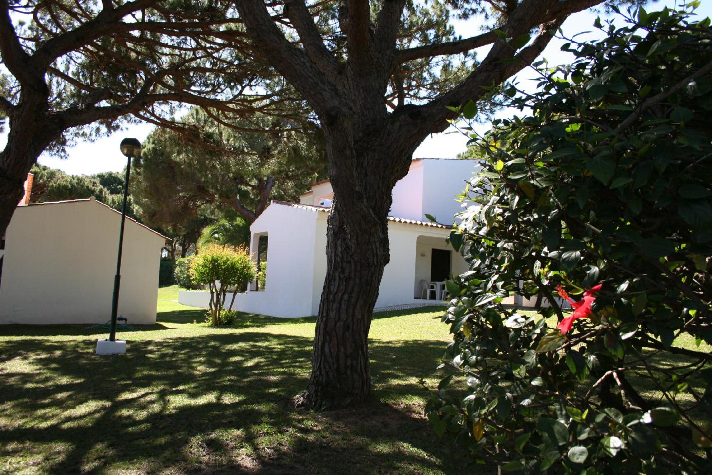 Photo 45