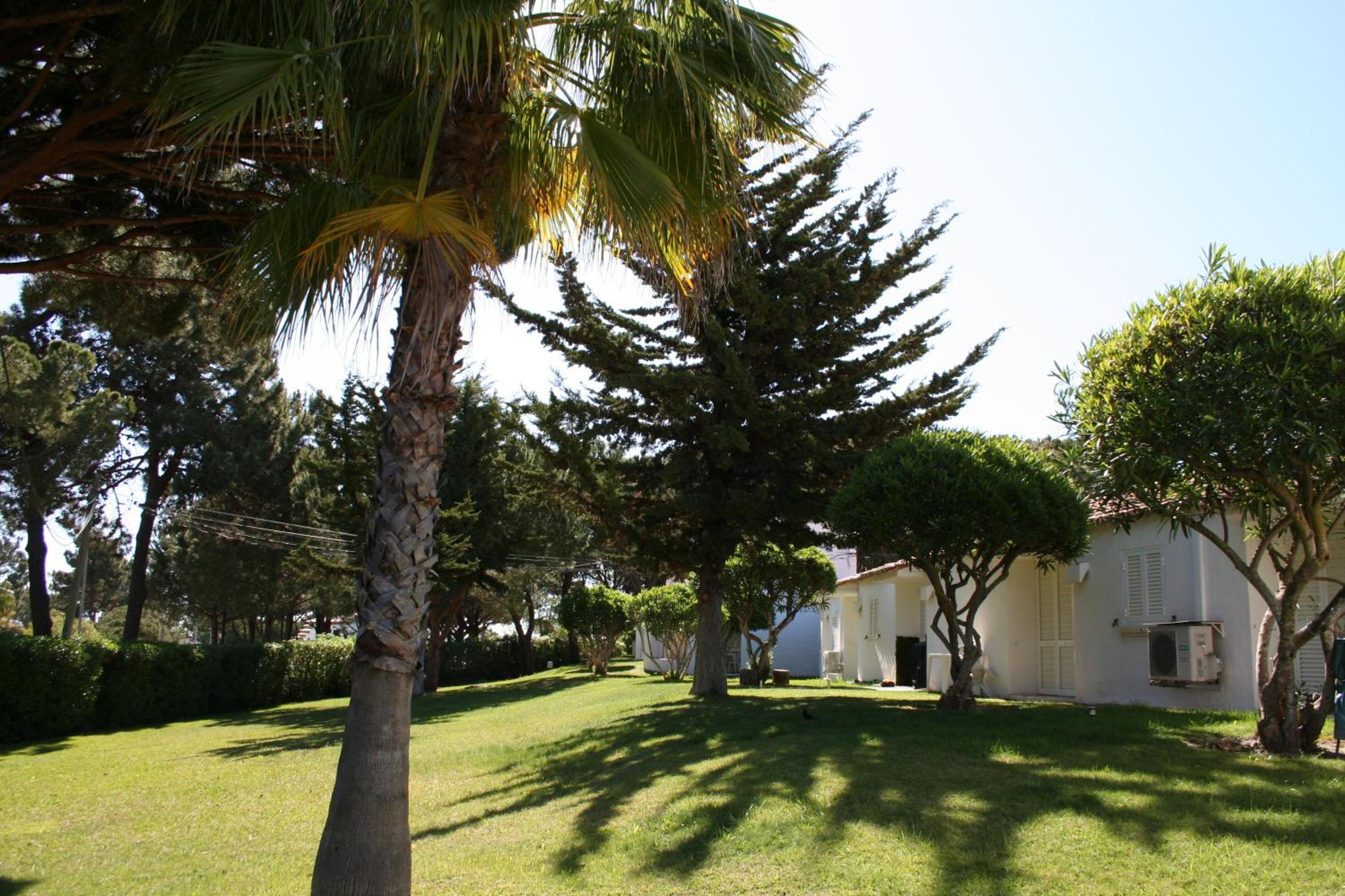 Photo 46