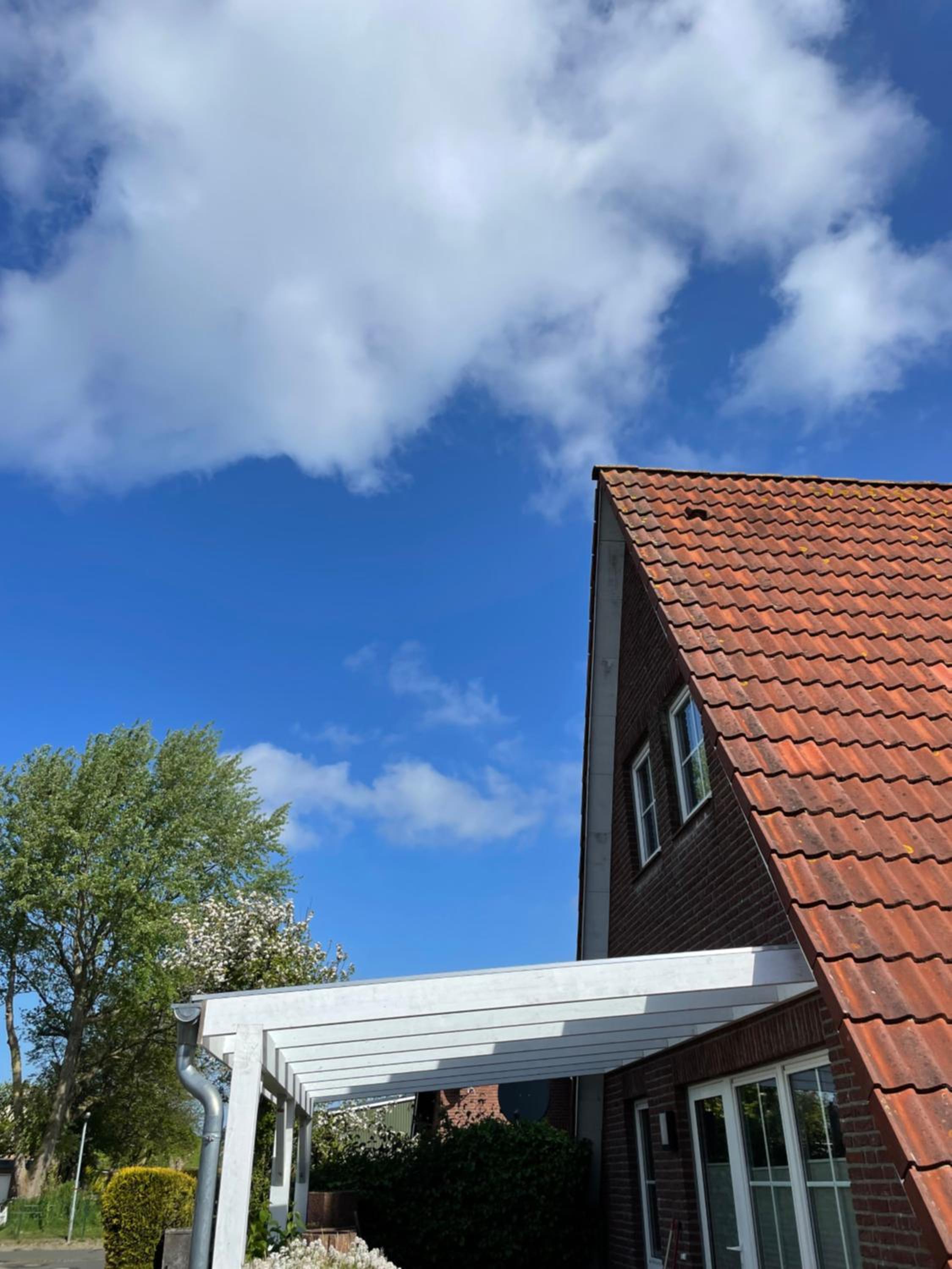 Ferienhaus Sandbar direkt am Deich