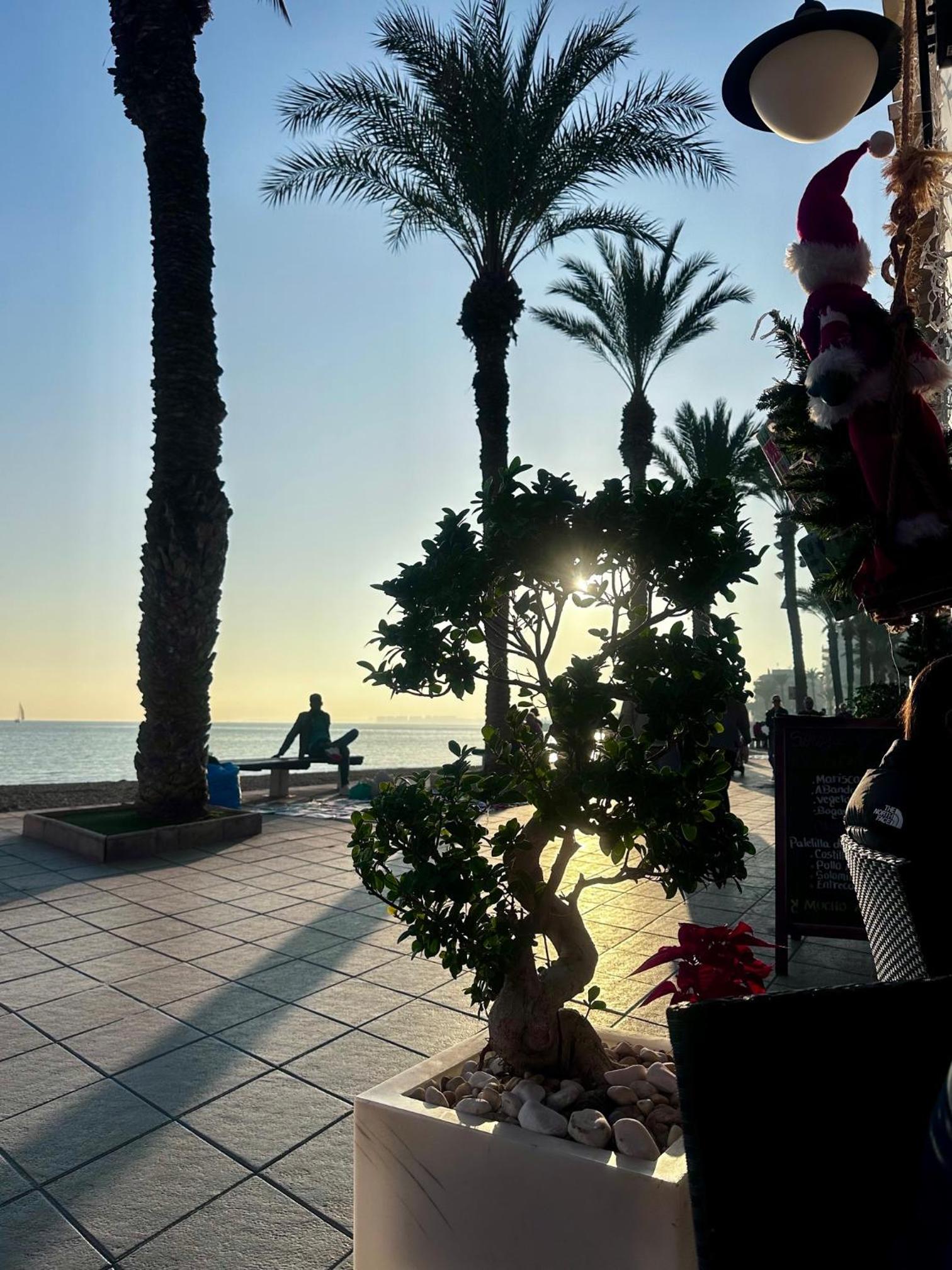 Los Locos Beach Apartment