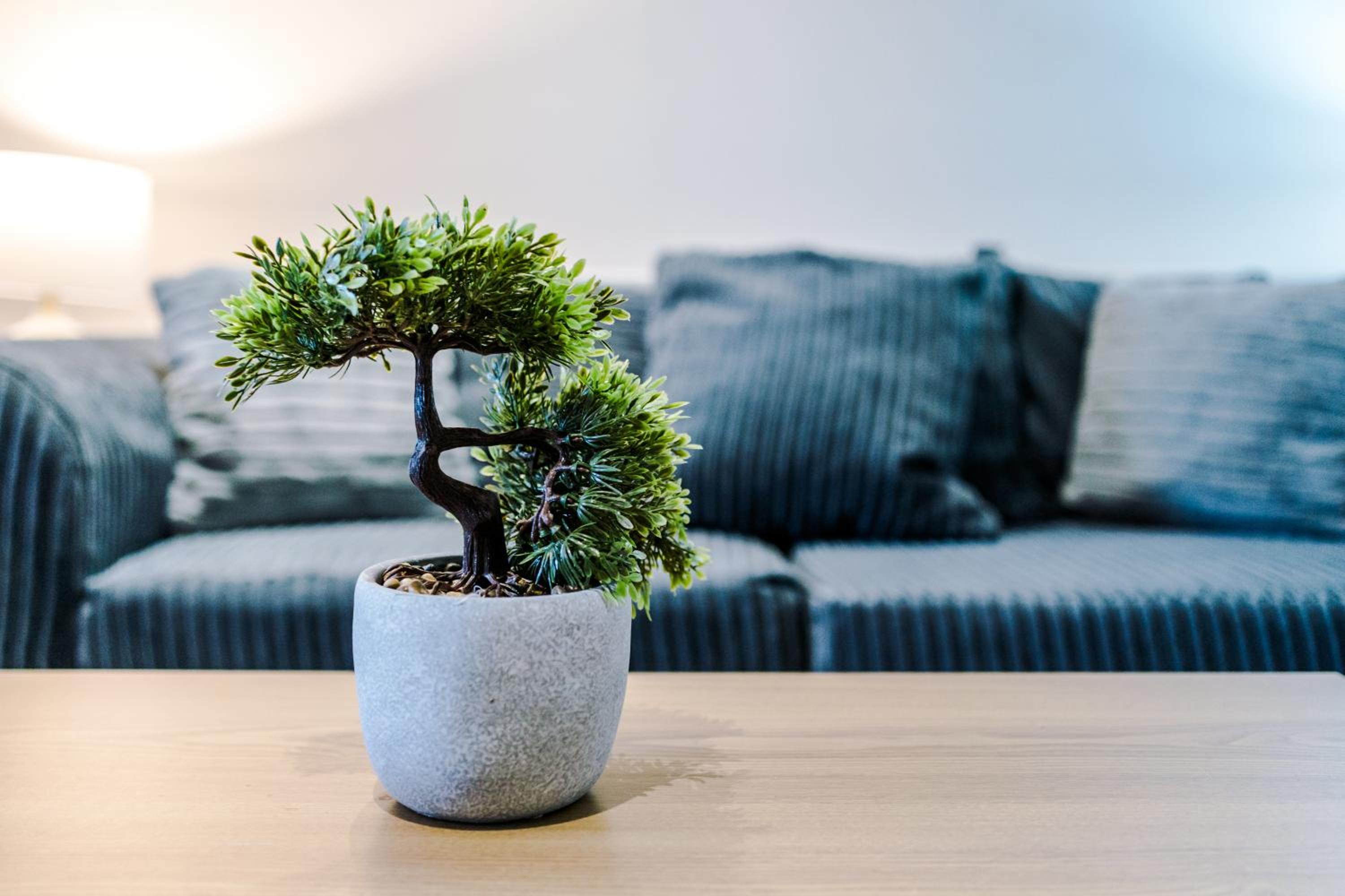 other