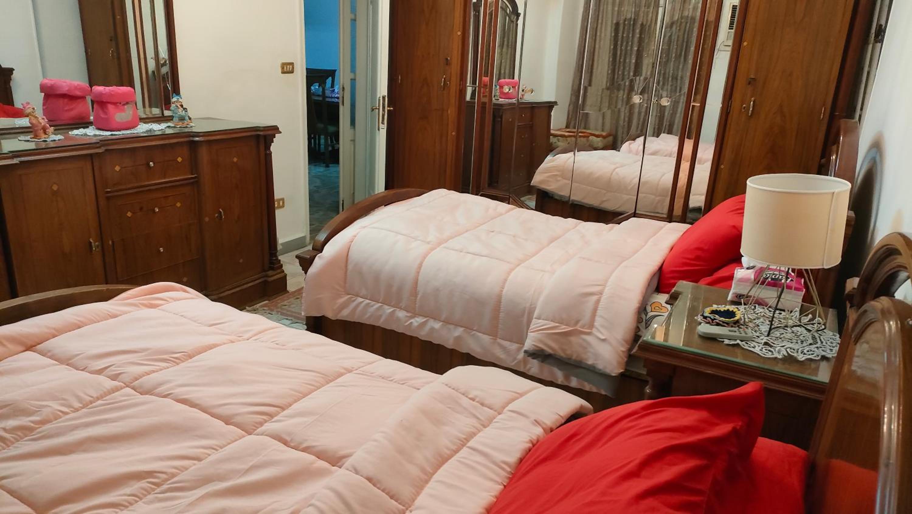 Nile view apartment