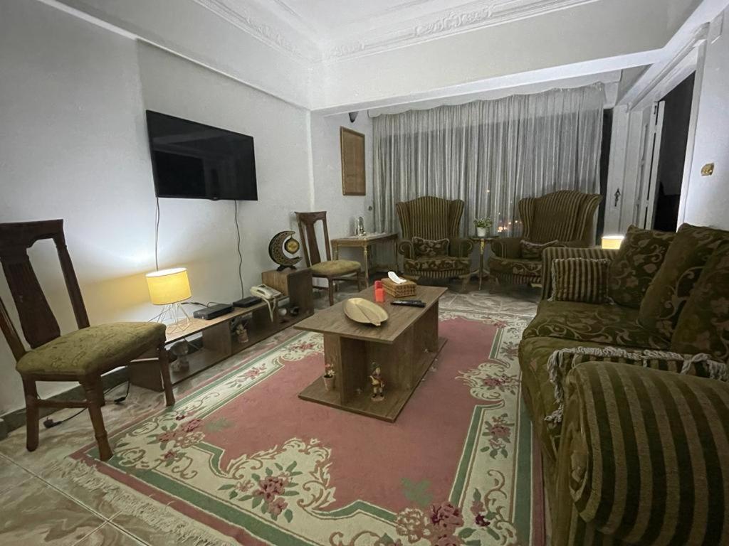 Nile view apartment