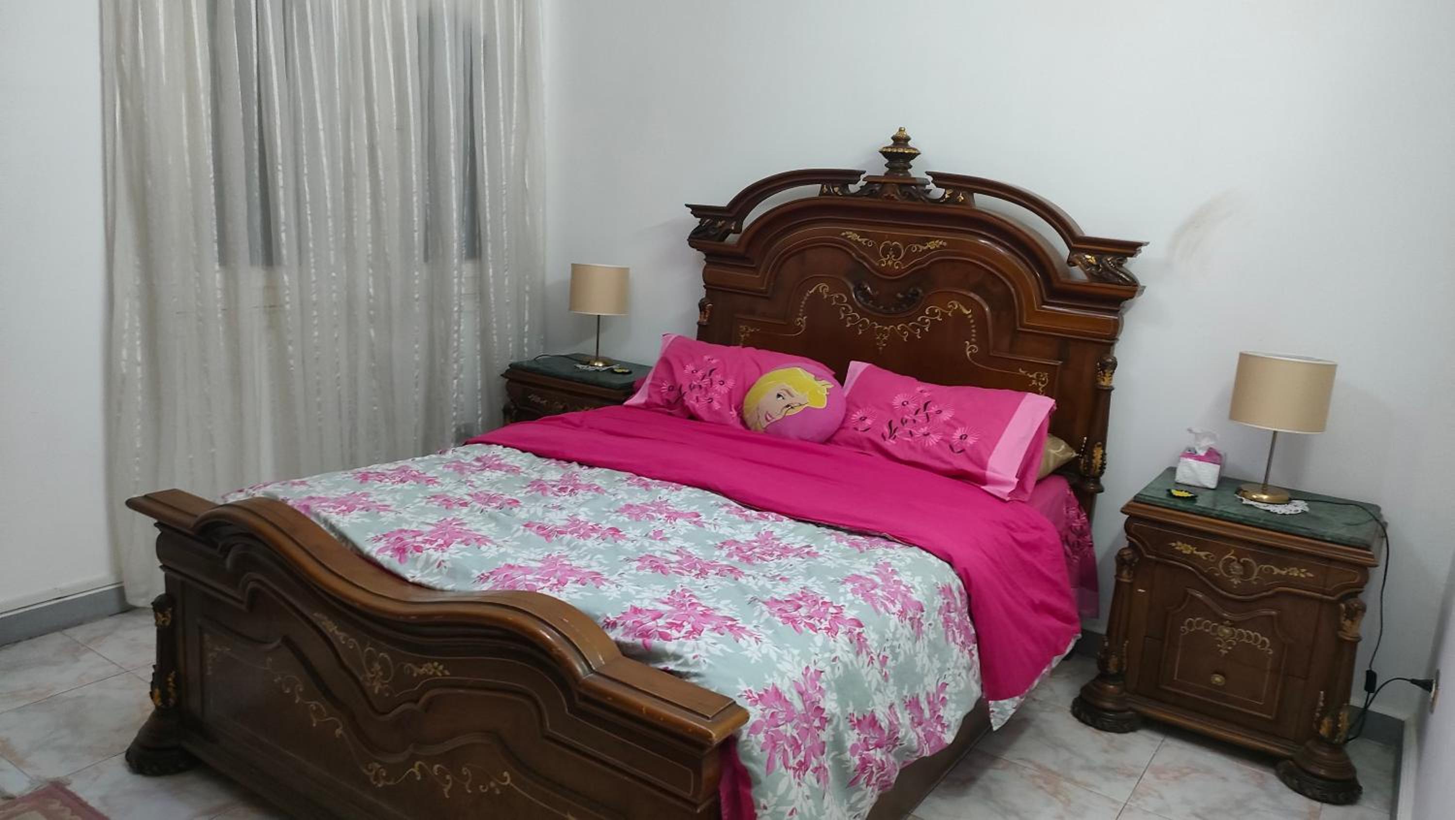 Nile view apartment
