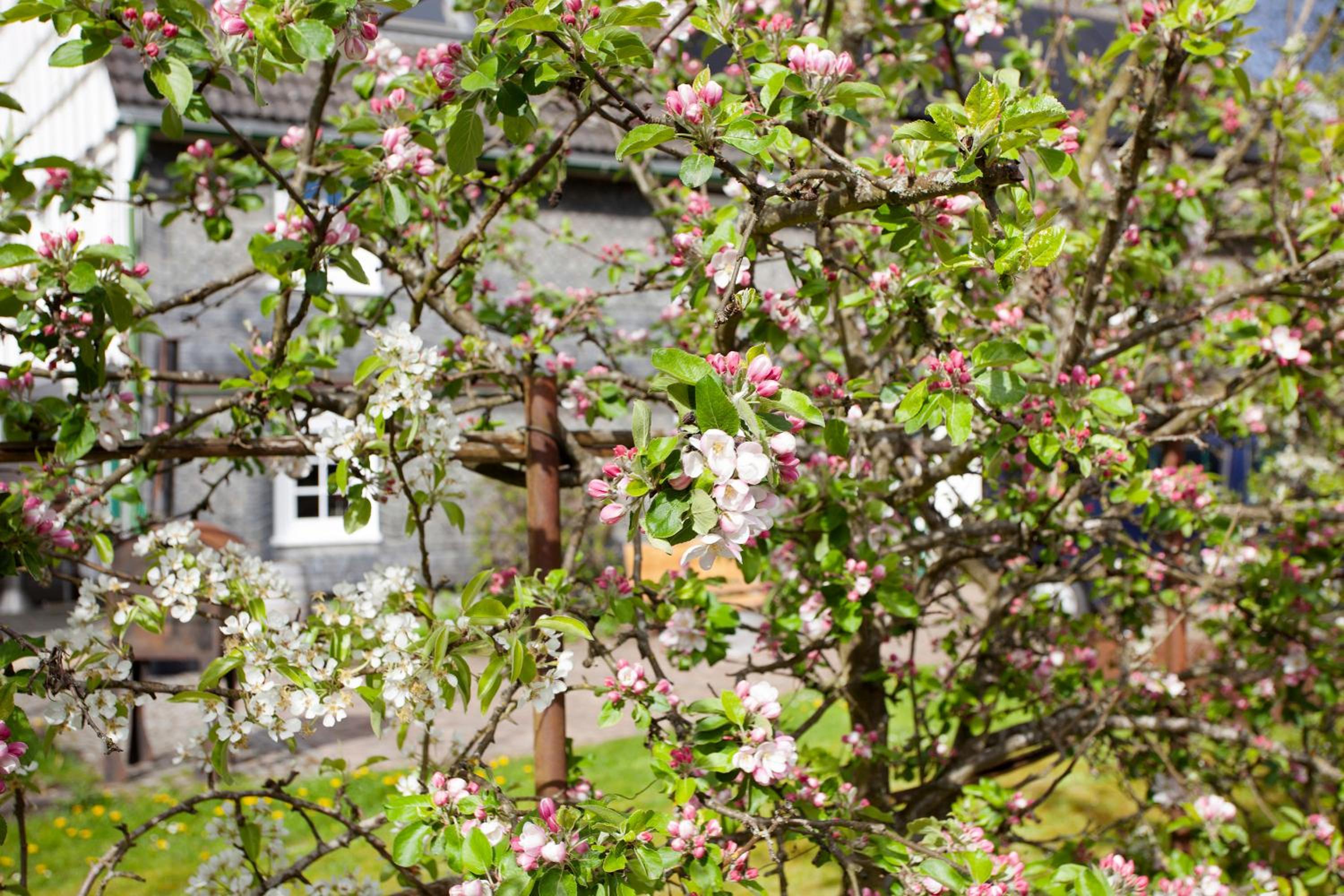 Ferienwohnung am Marienbach