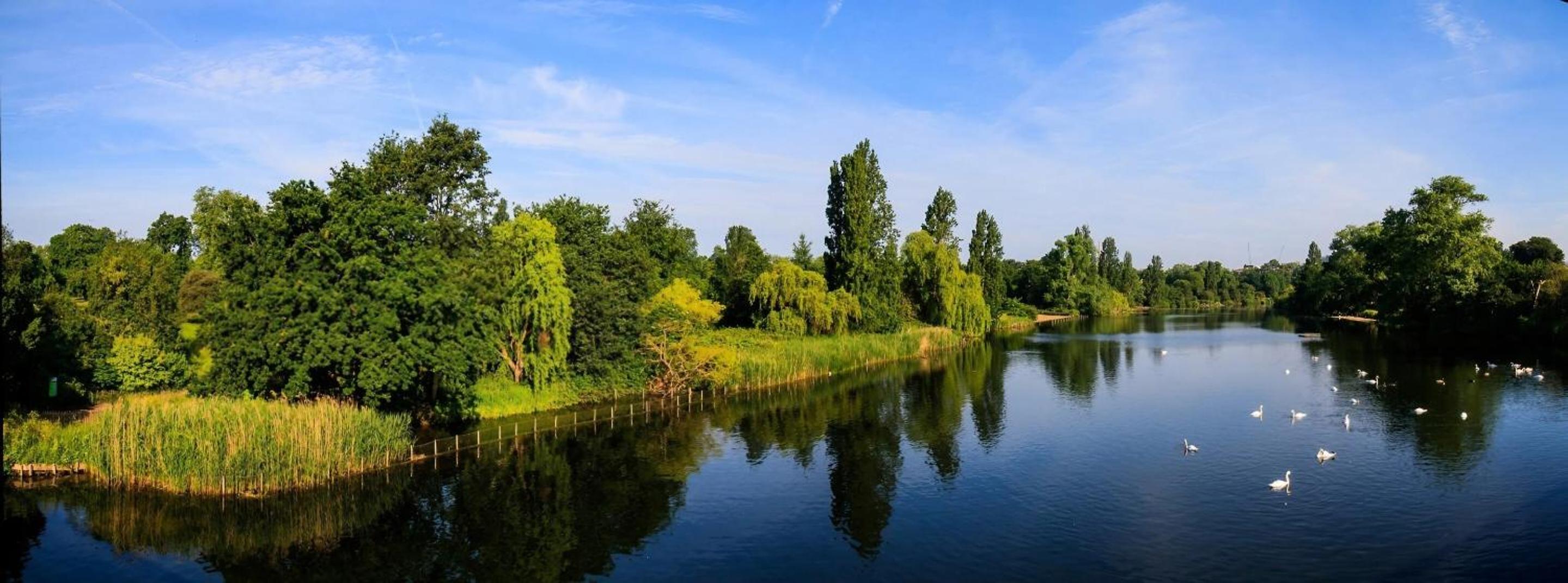 Modern Studios Close To Hyde Park