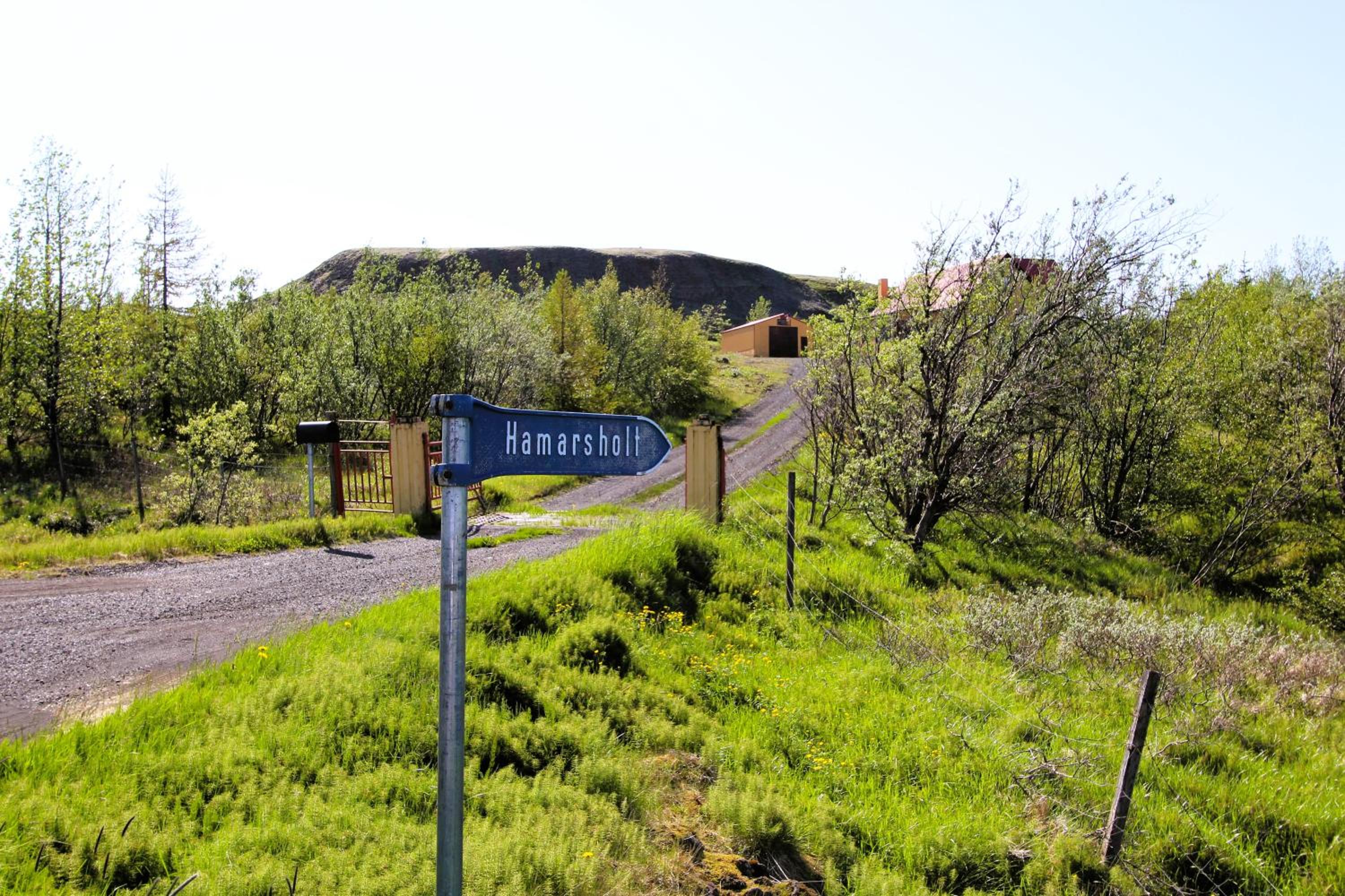 Hamarsholt