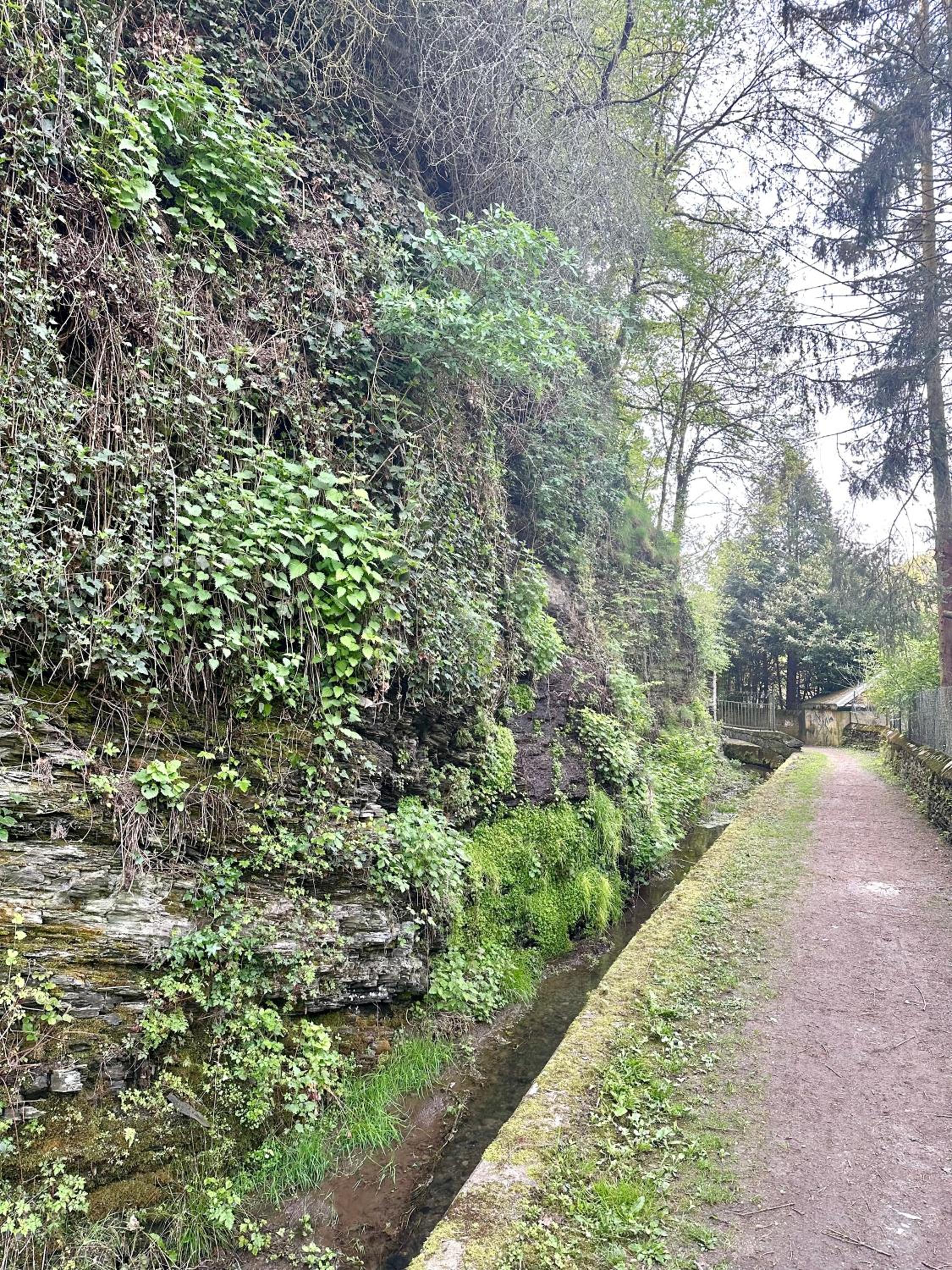 Ferienwohnungen-Traben-Trarbach