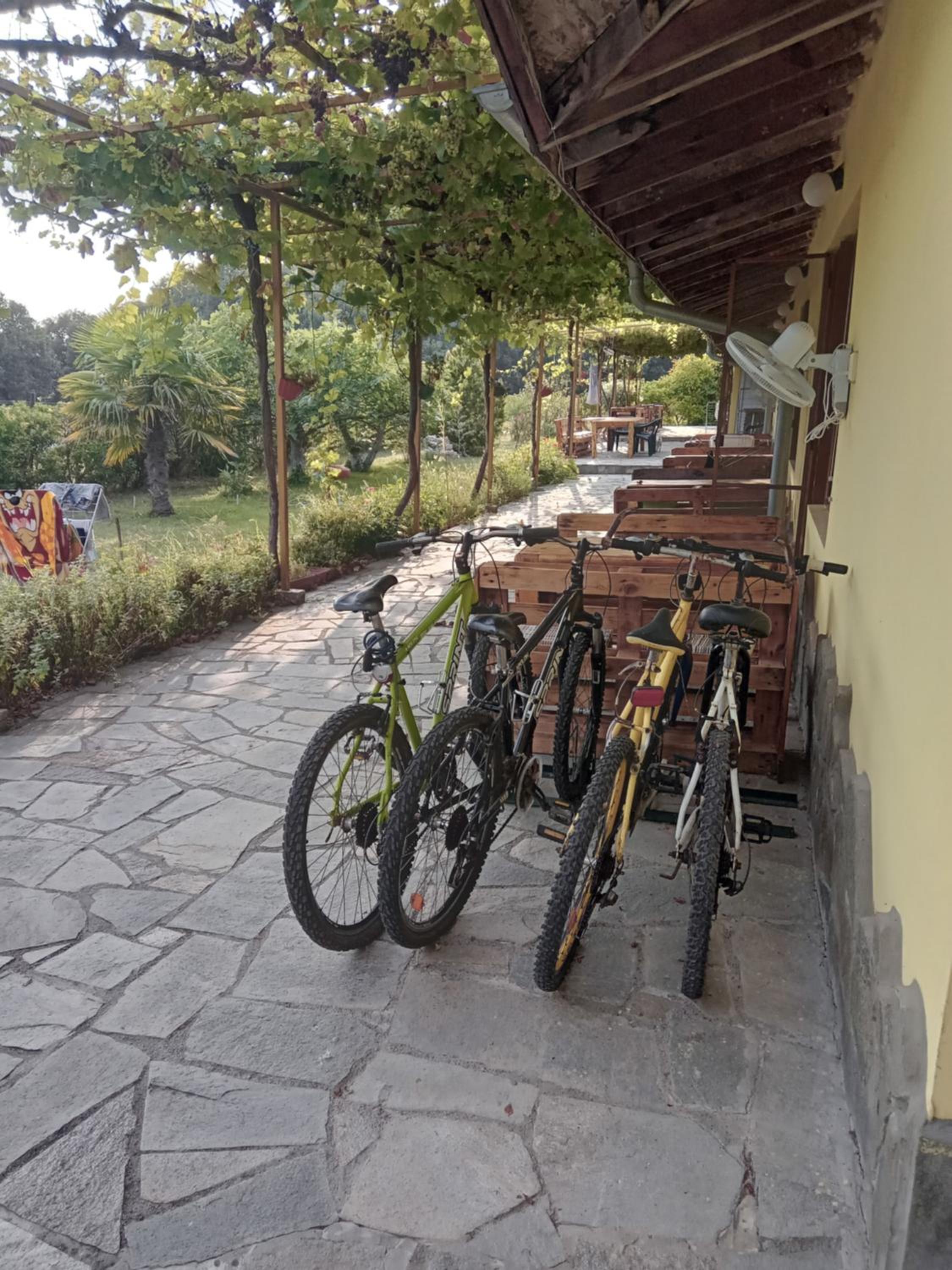Sirius Guest House