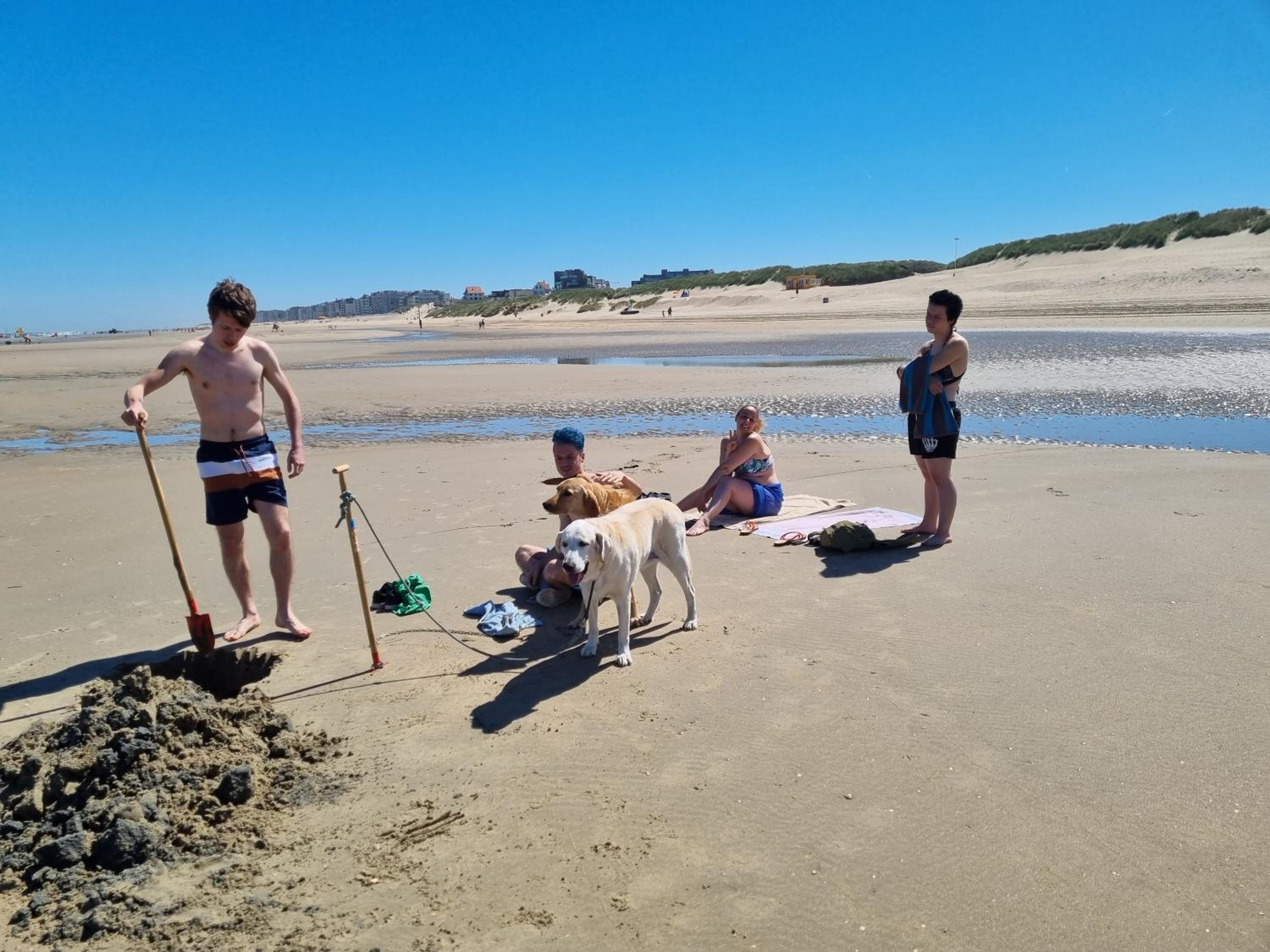 Kunstenaarslaan De Panne