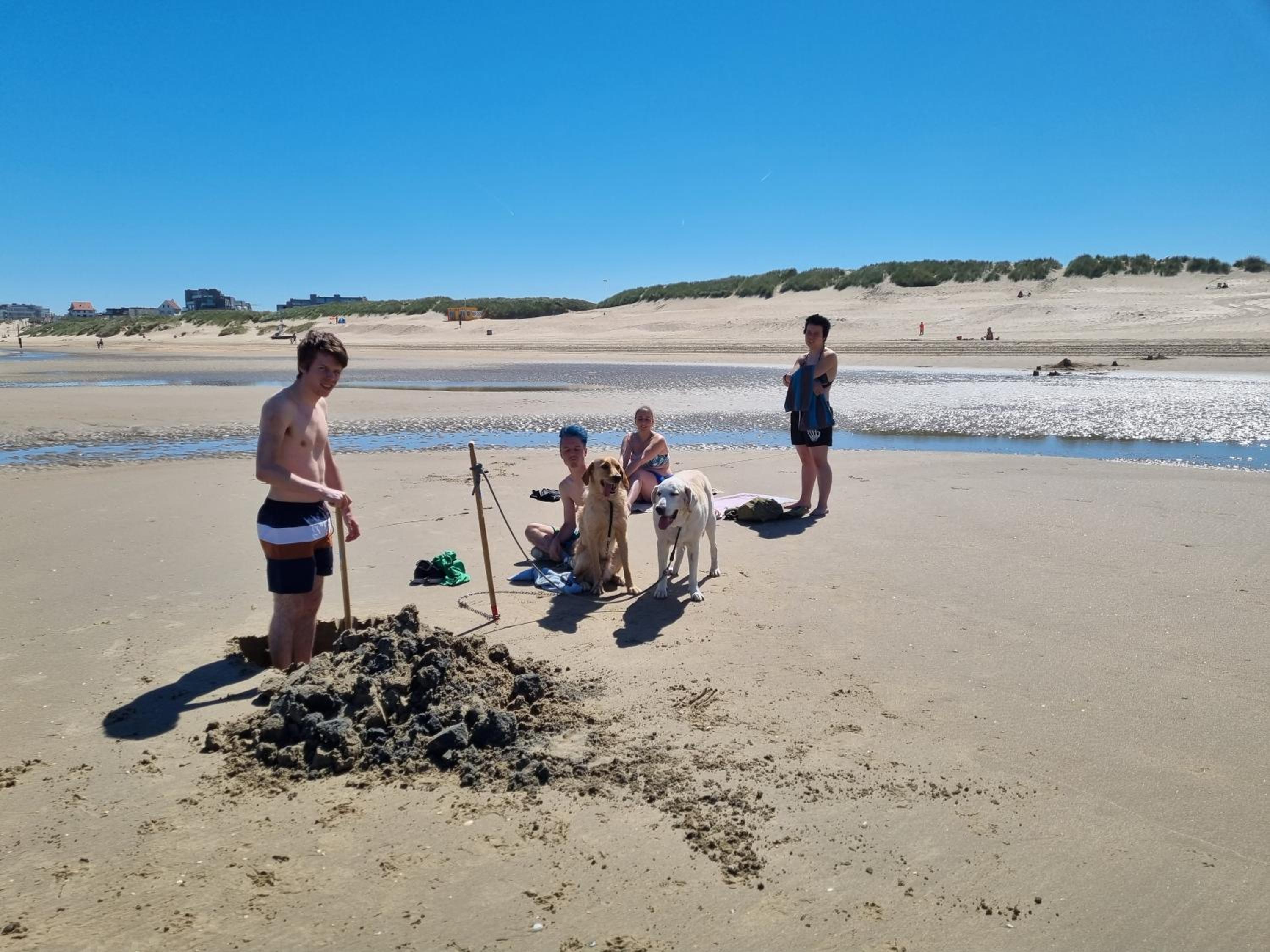 Kunstenaarslaan De Panne