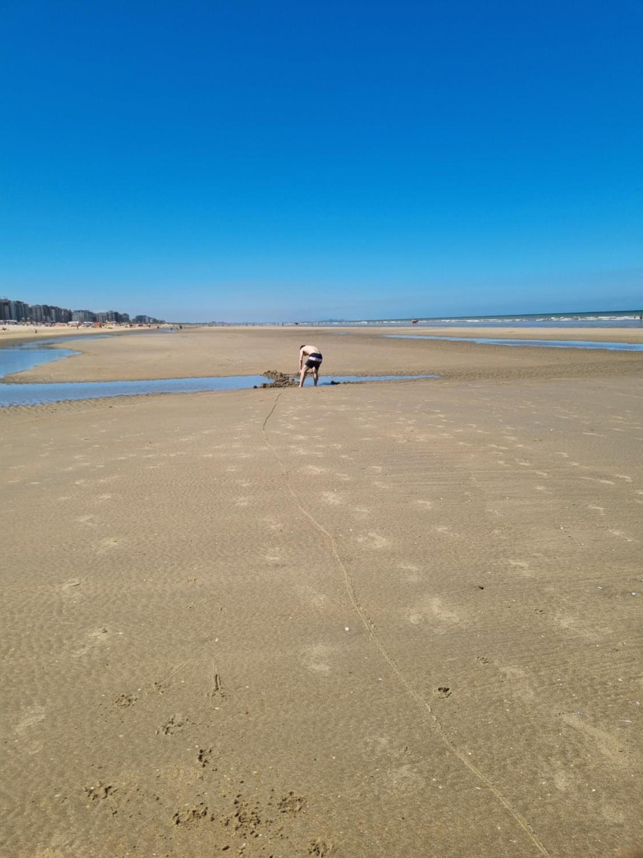 Kunstenaarslaan De Panne