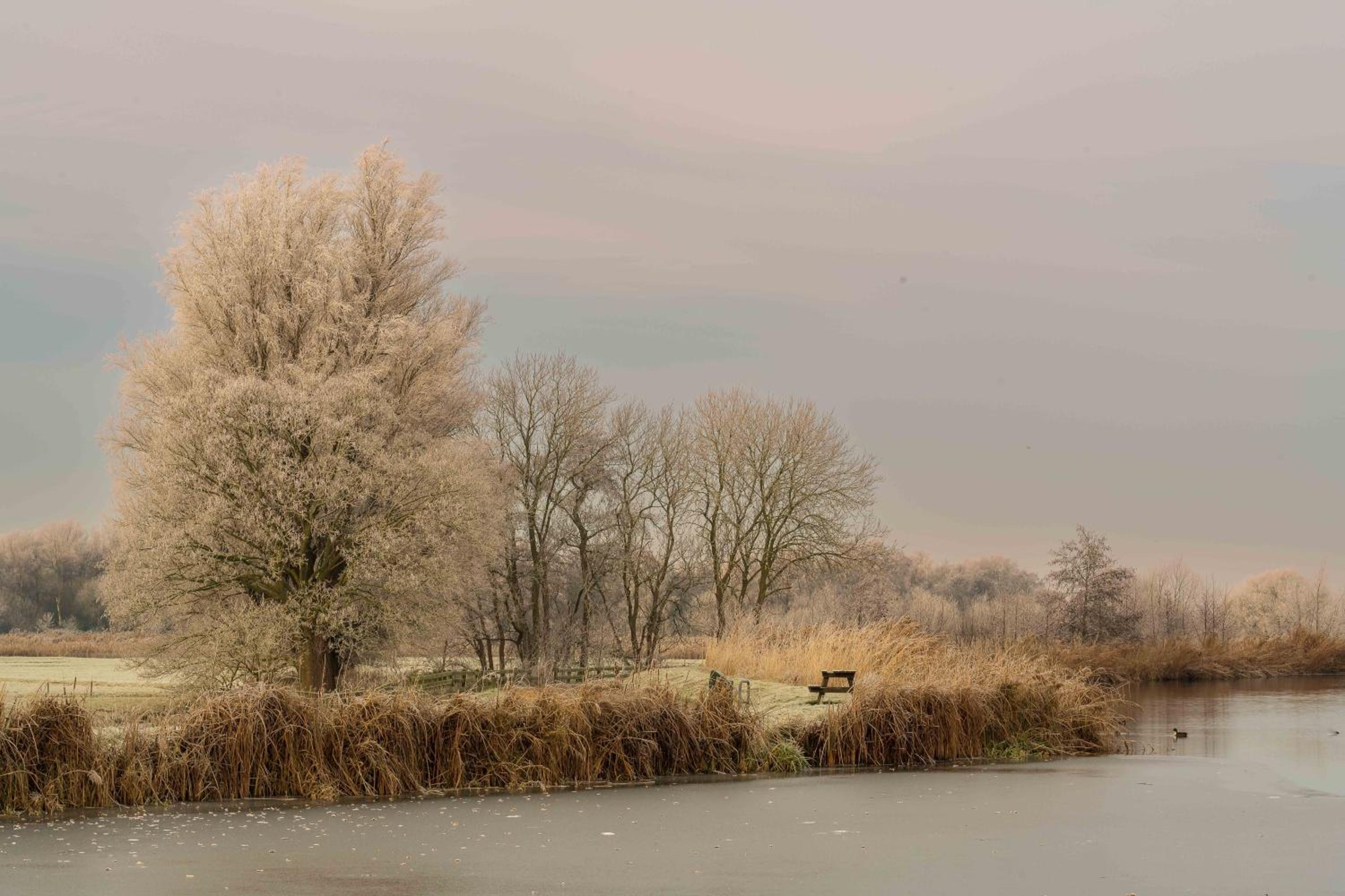 Aan de Amstel
