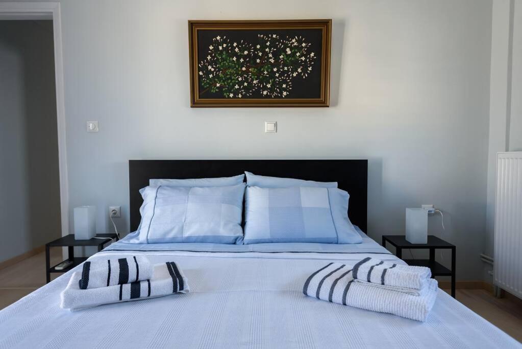 Elektra Suite photo 3