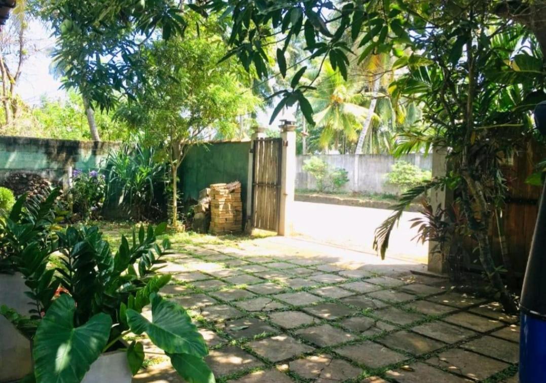 The Lagon House view 4