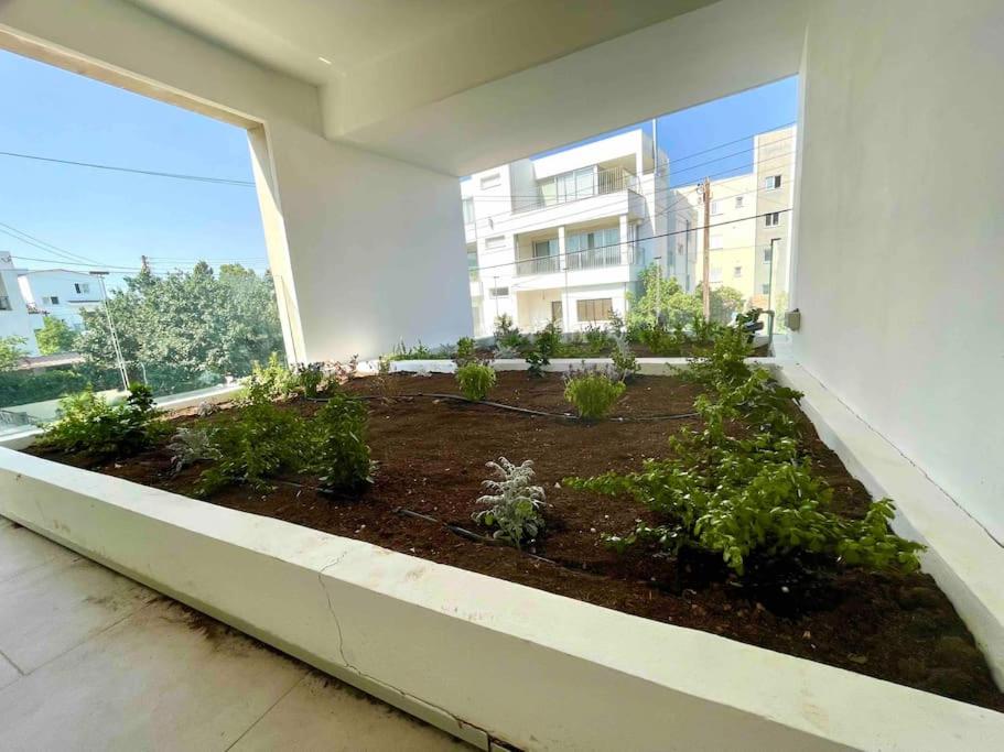 Platform 357 Agios Dometios Modern Apartment