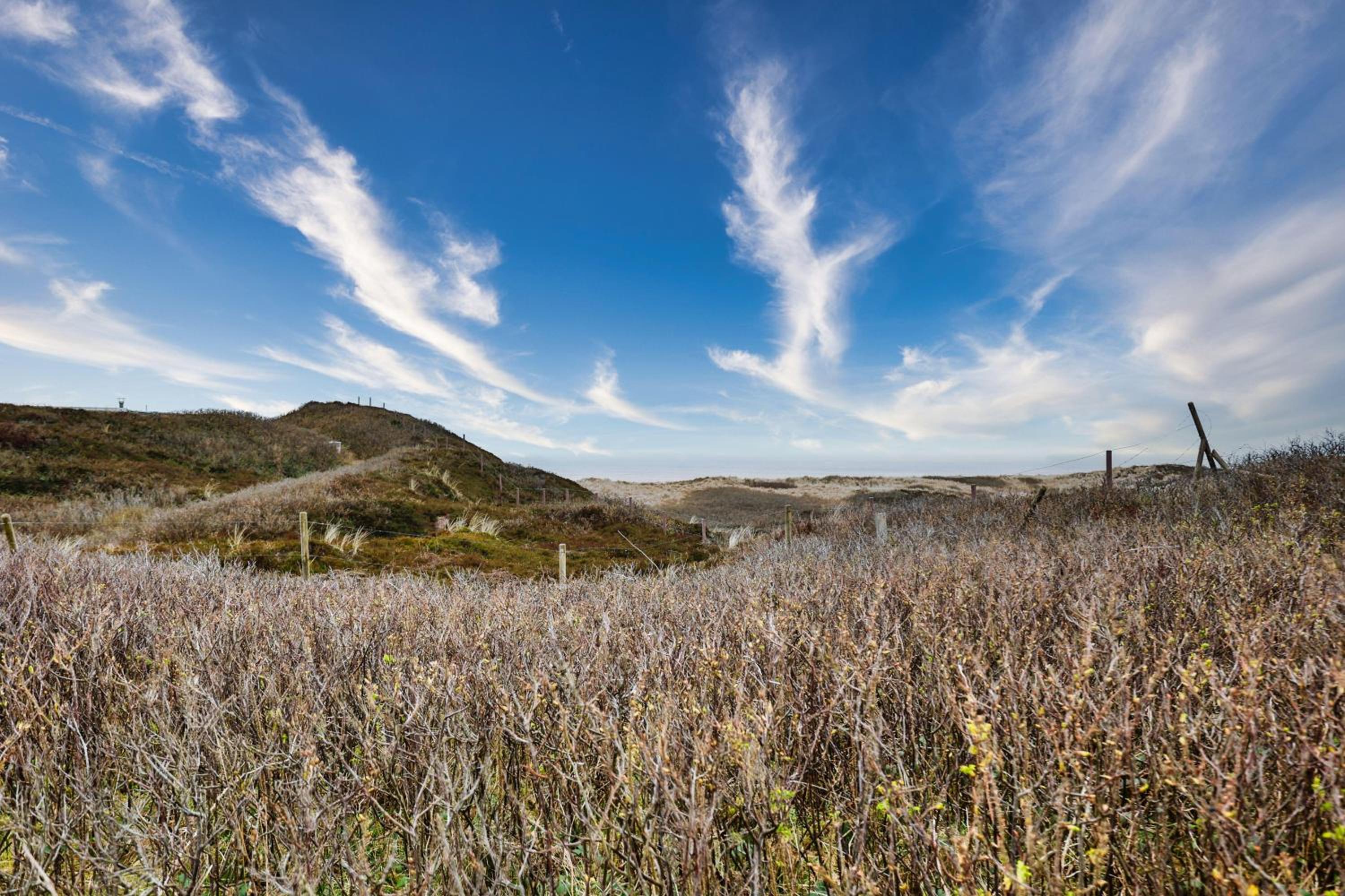 Ferienwohnung-Sandblume-mit-Meerblick