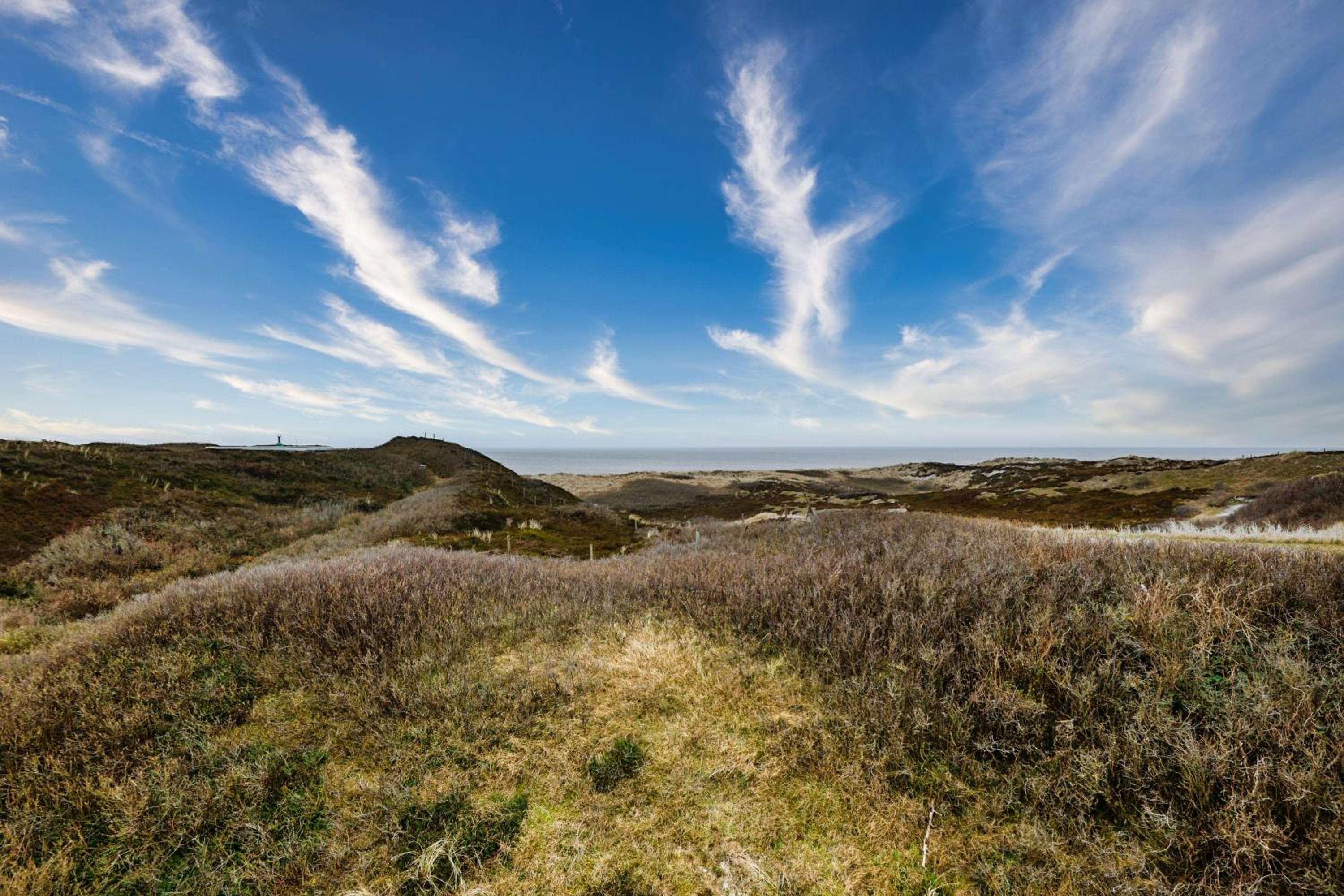 Ferienwohnung-Sandblume-mit-Meerblick