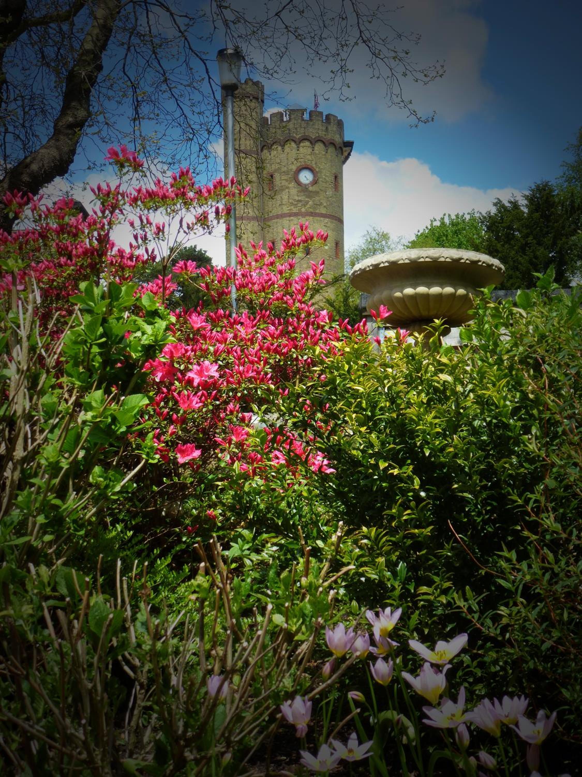 Accommodation at Salomons Estate