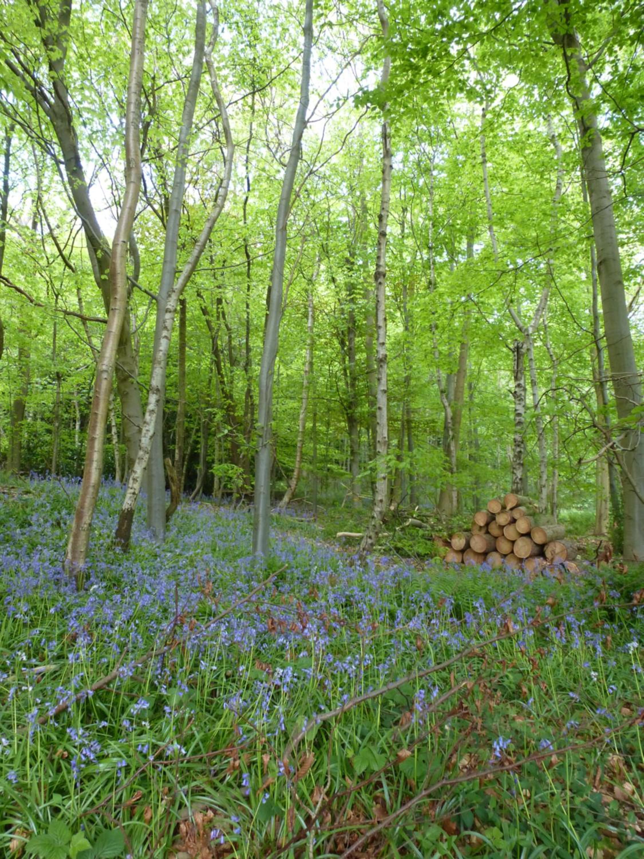 Accommodation at Salomons Estate