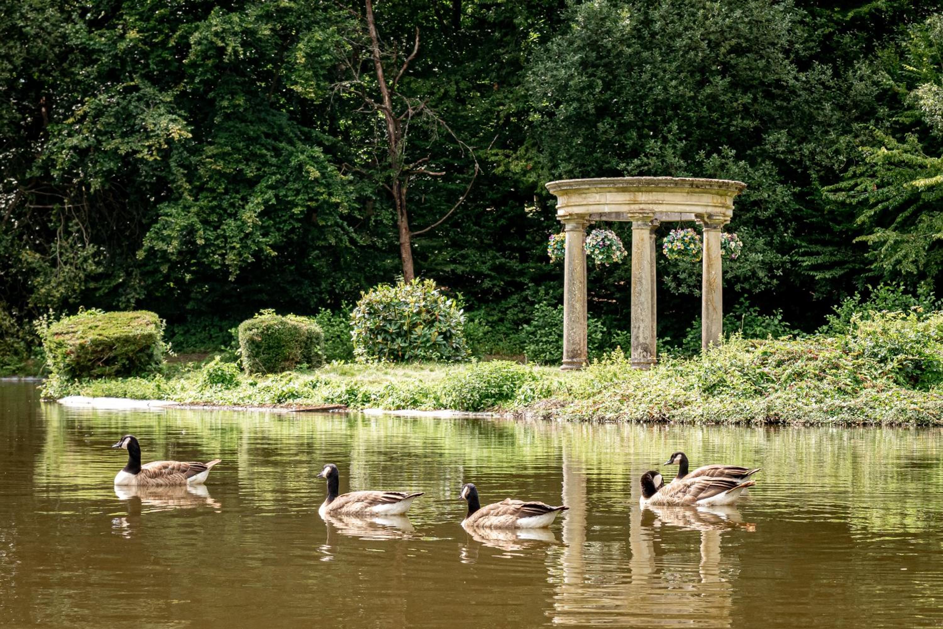 Accommodation at Salomons Estate