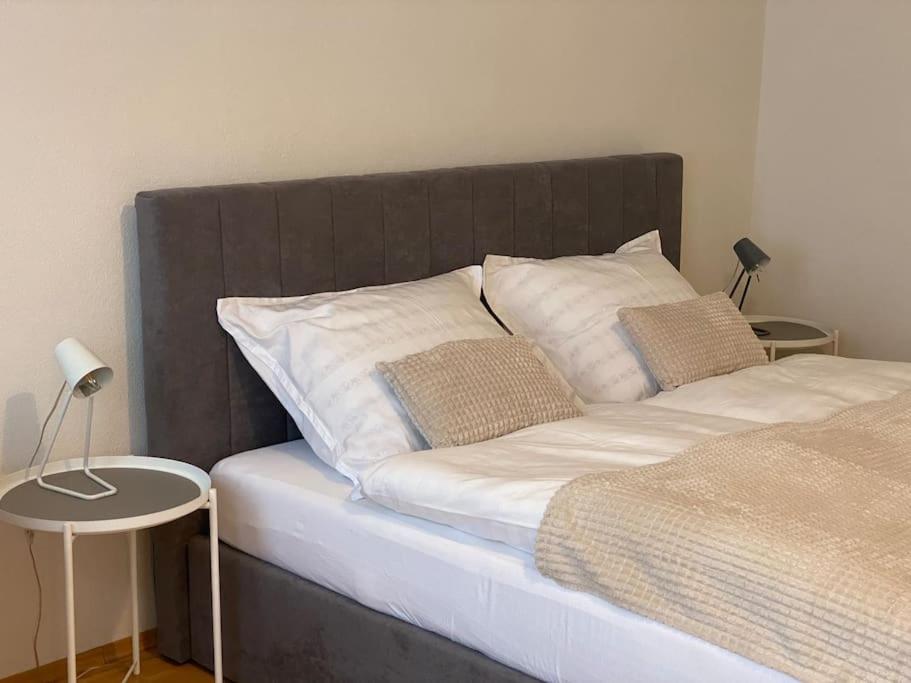 Schöne, modern eingerichtete Wohnung nahe Zentrum ideal zum Arbeiten und Studieren