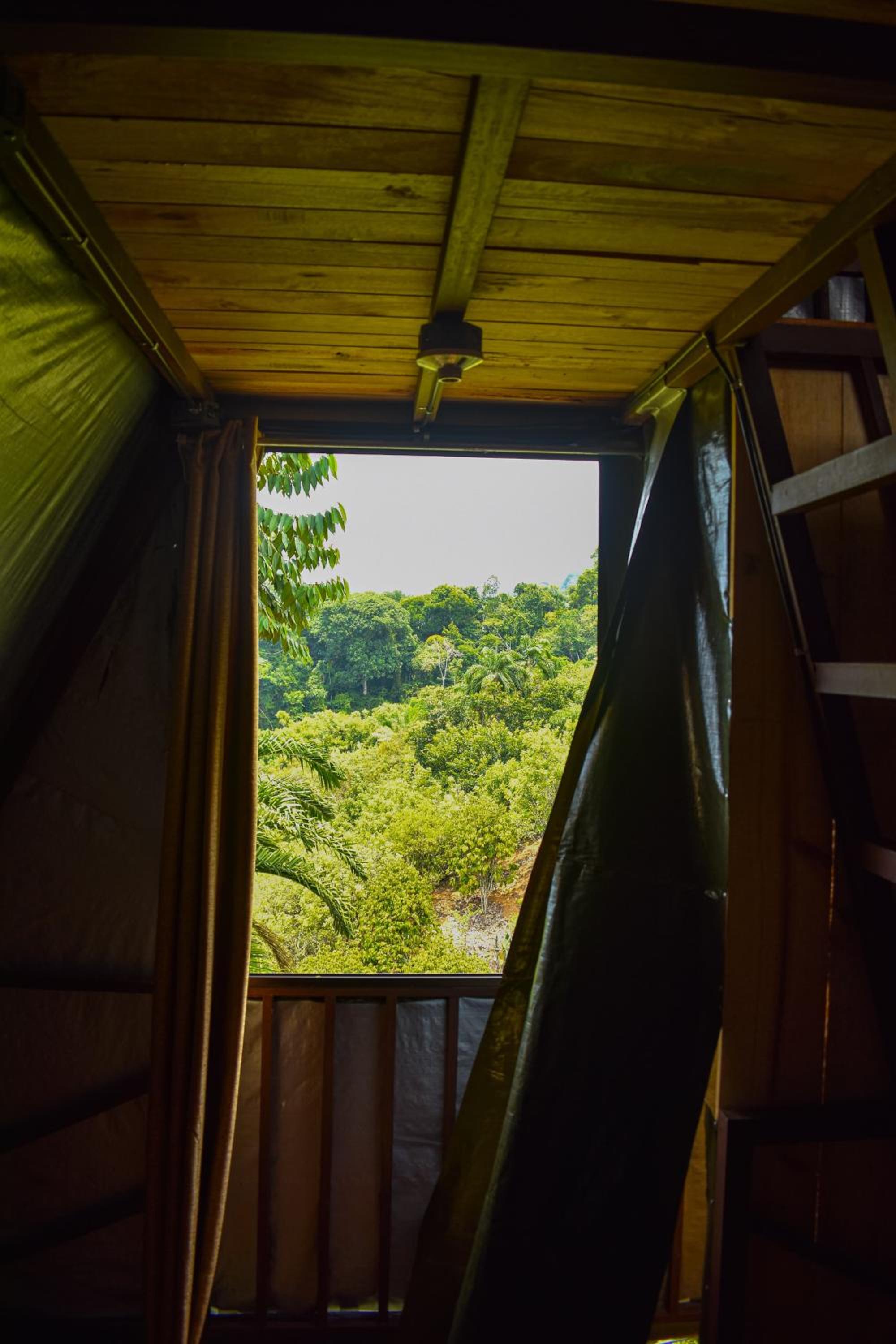 Finca Makambu