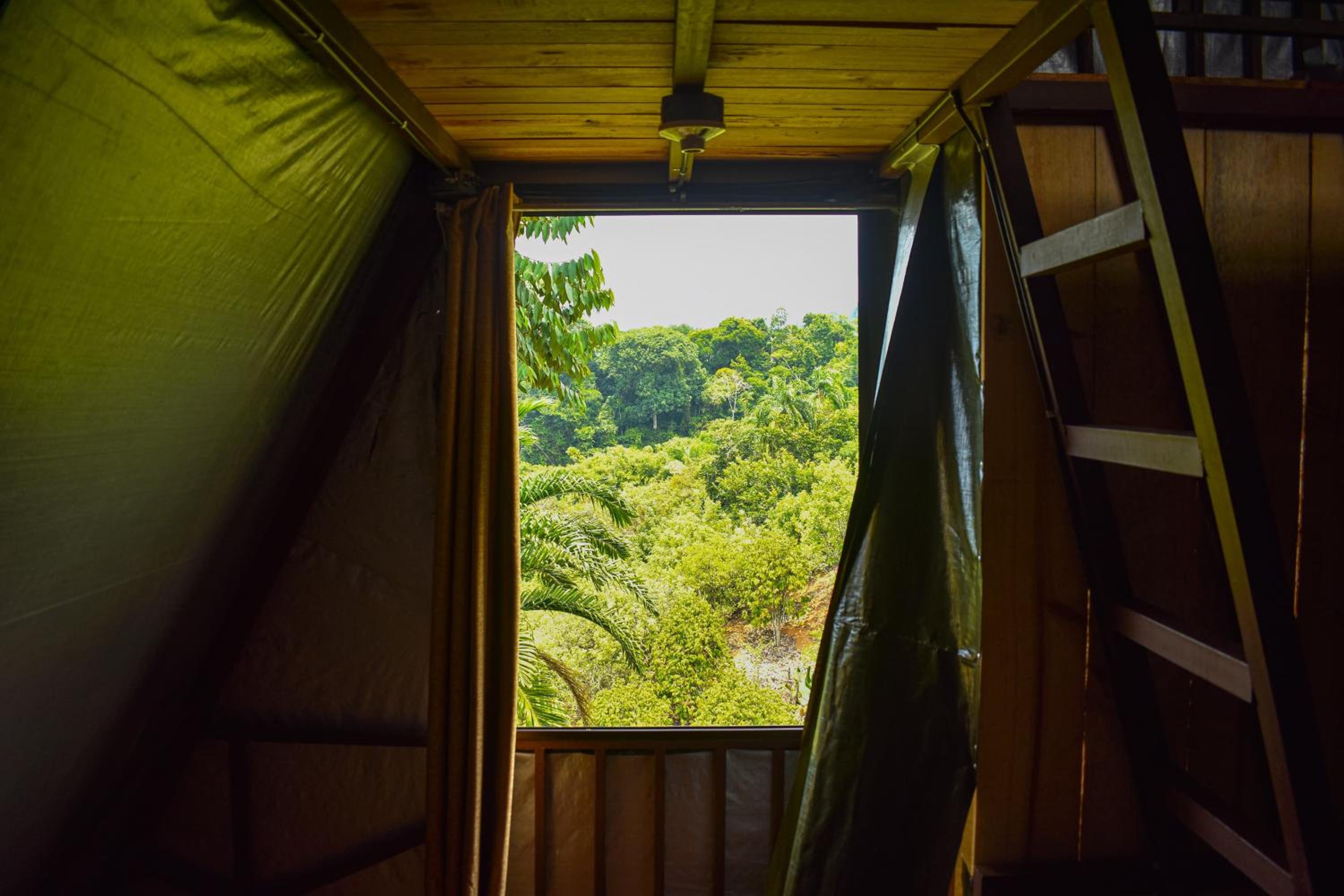 Finca Makambu