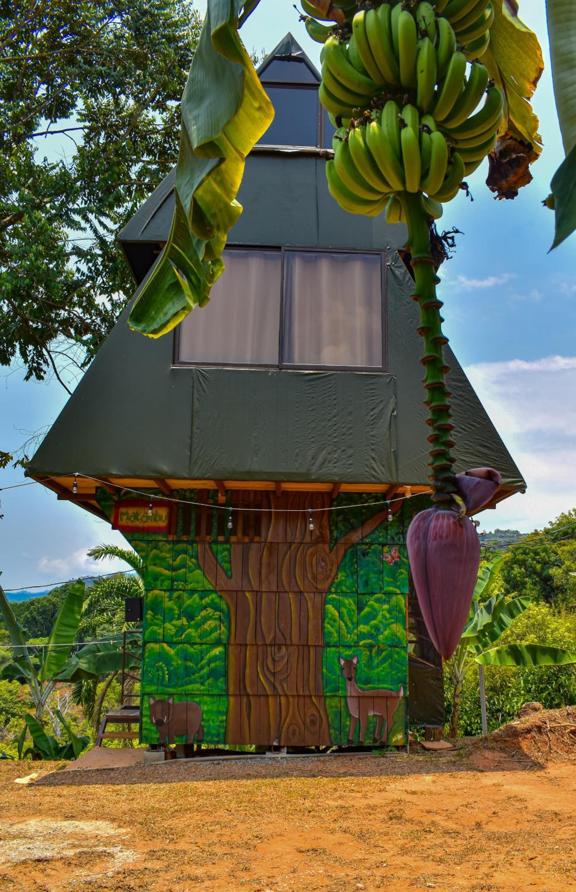 Finca Makambu