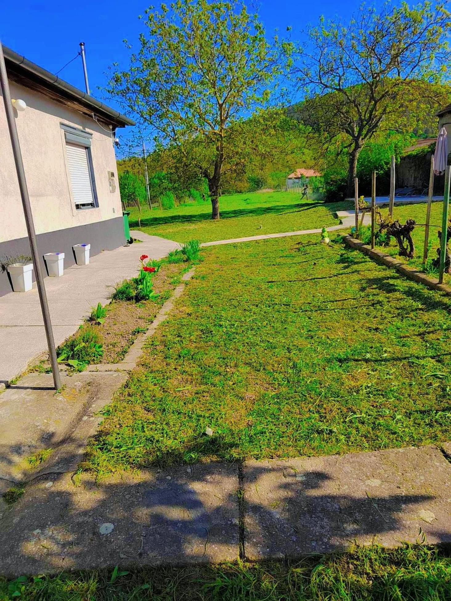 Photo 41