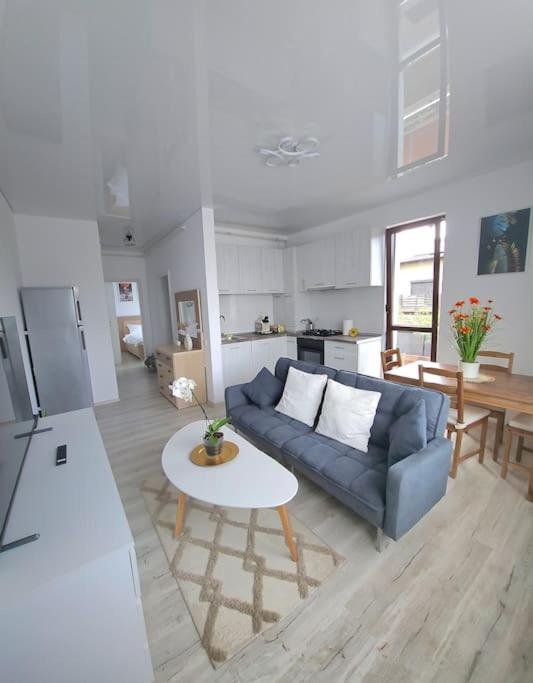 Cozy SoRaDa 2 apartment view 5