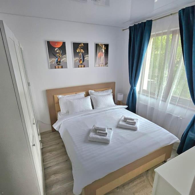 Cozy SoRaDa 2 apartment view 4