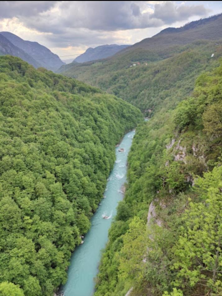 Žabljak Apartman