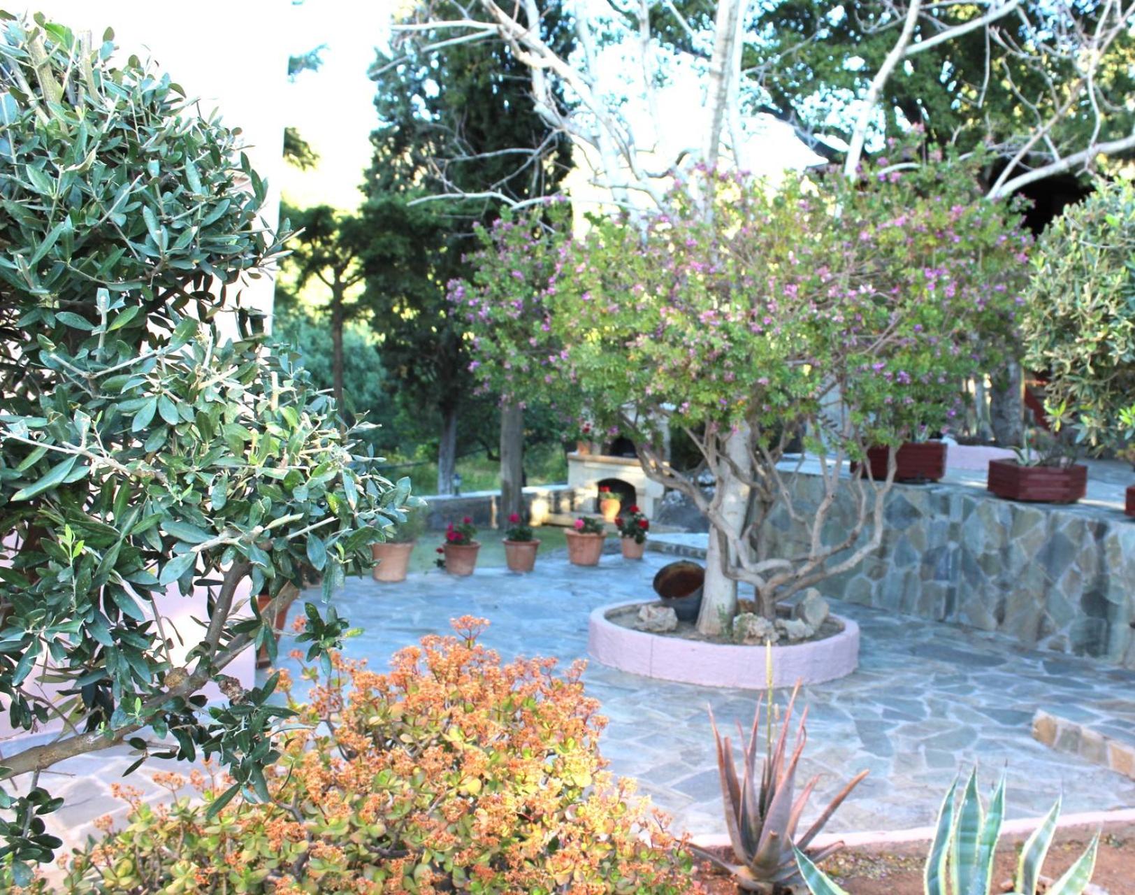 Photo 45