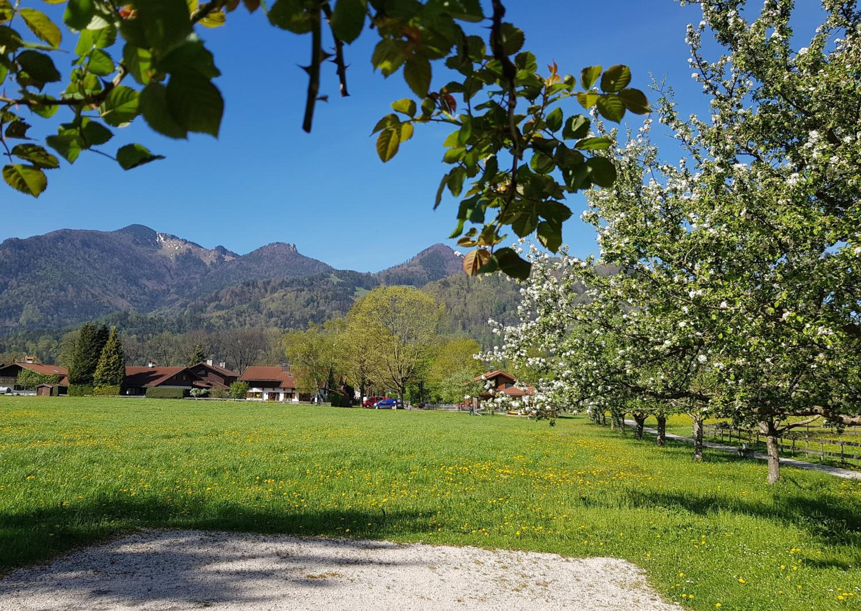 Ferienwohnung Schreiner-Viehhausen view 5