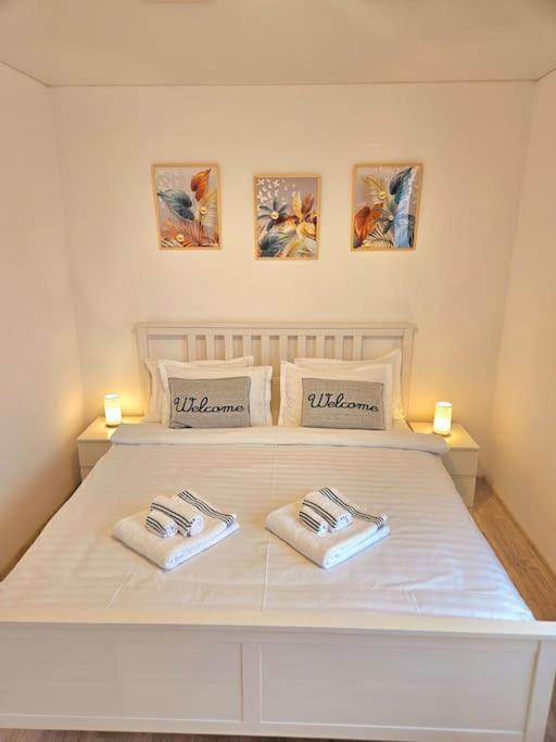 Cozy SoRaDa 1 apartment view 2