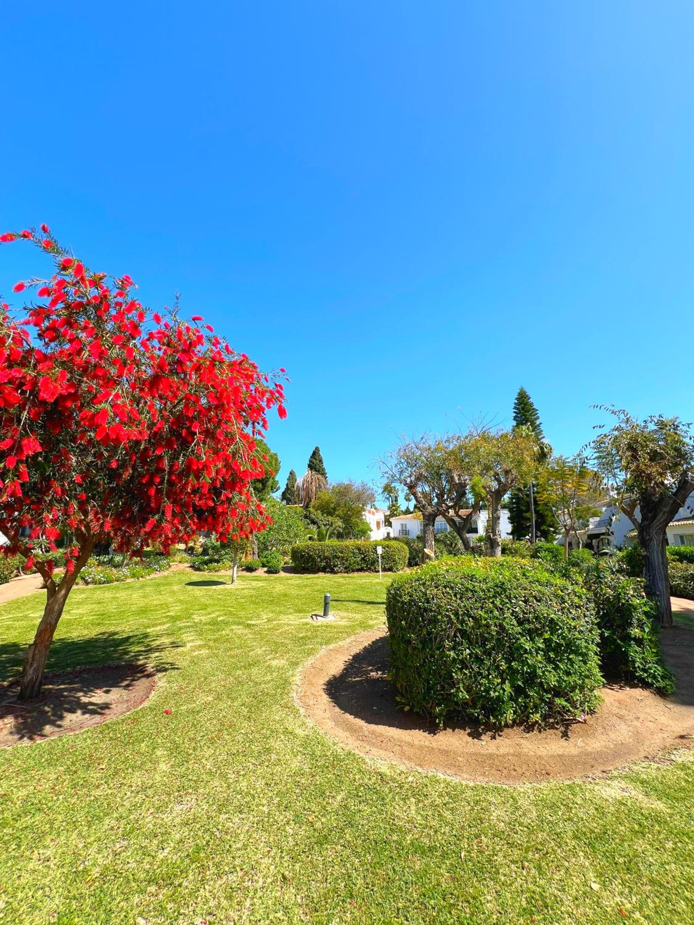 Patio Alcornocal by Residea