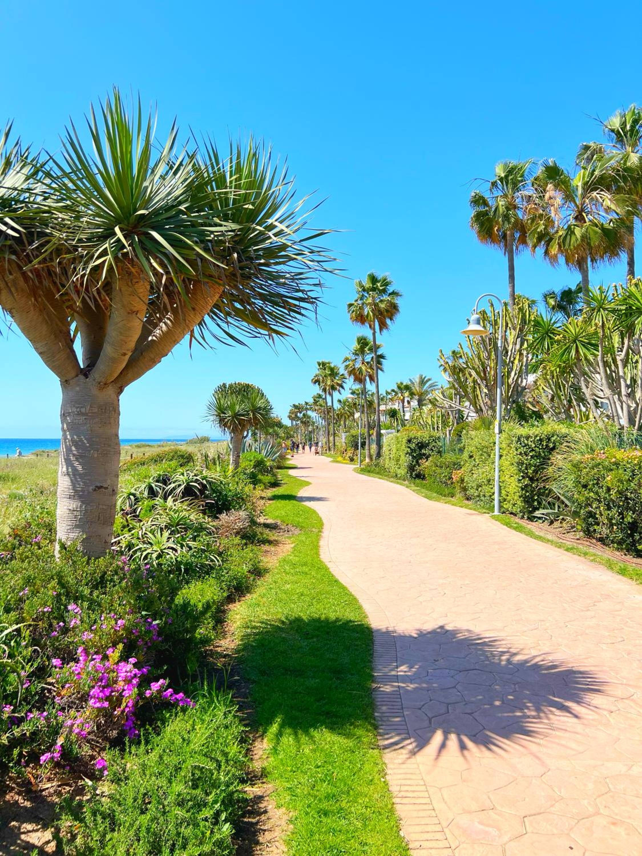 Patio Alcornocal by Residea