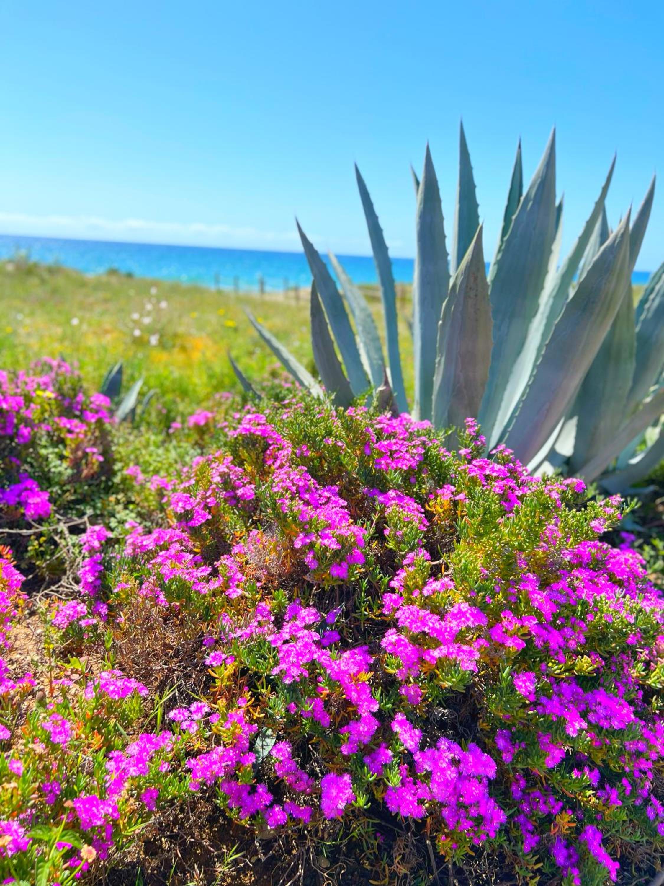 Patio Alcornocal by Residea