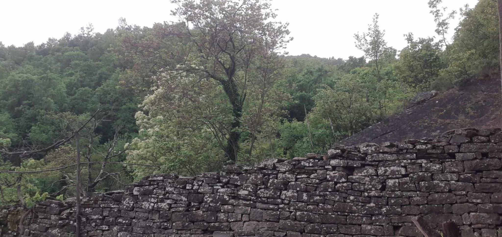 guest house in buhal