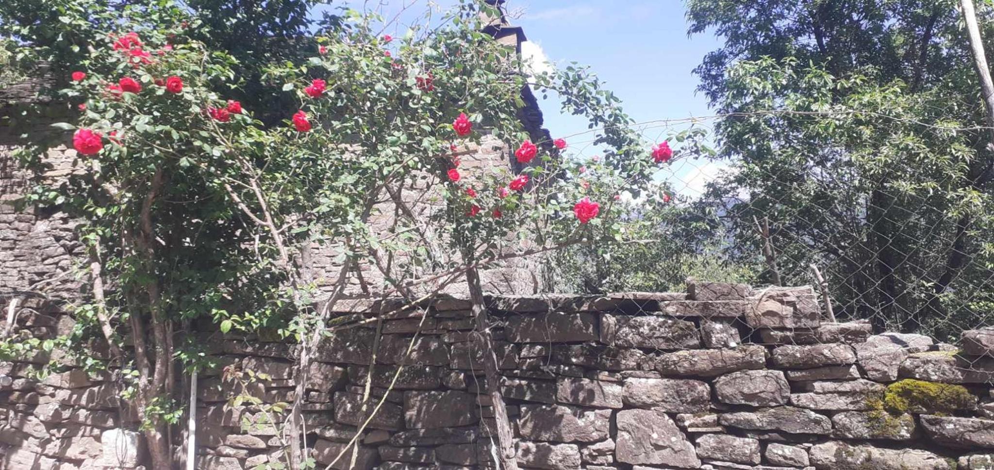 guest house in buhal