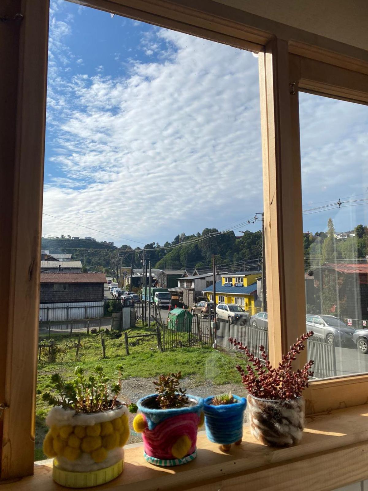 Refugio Ballena Hostel
