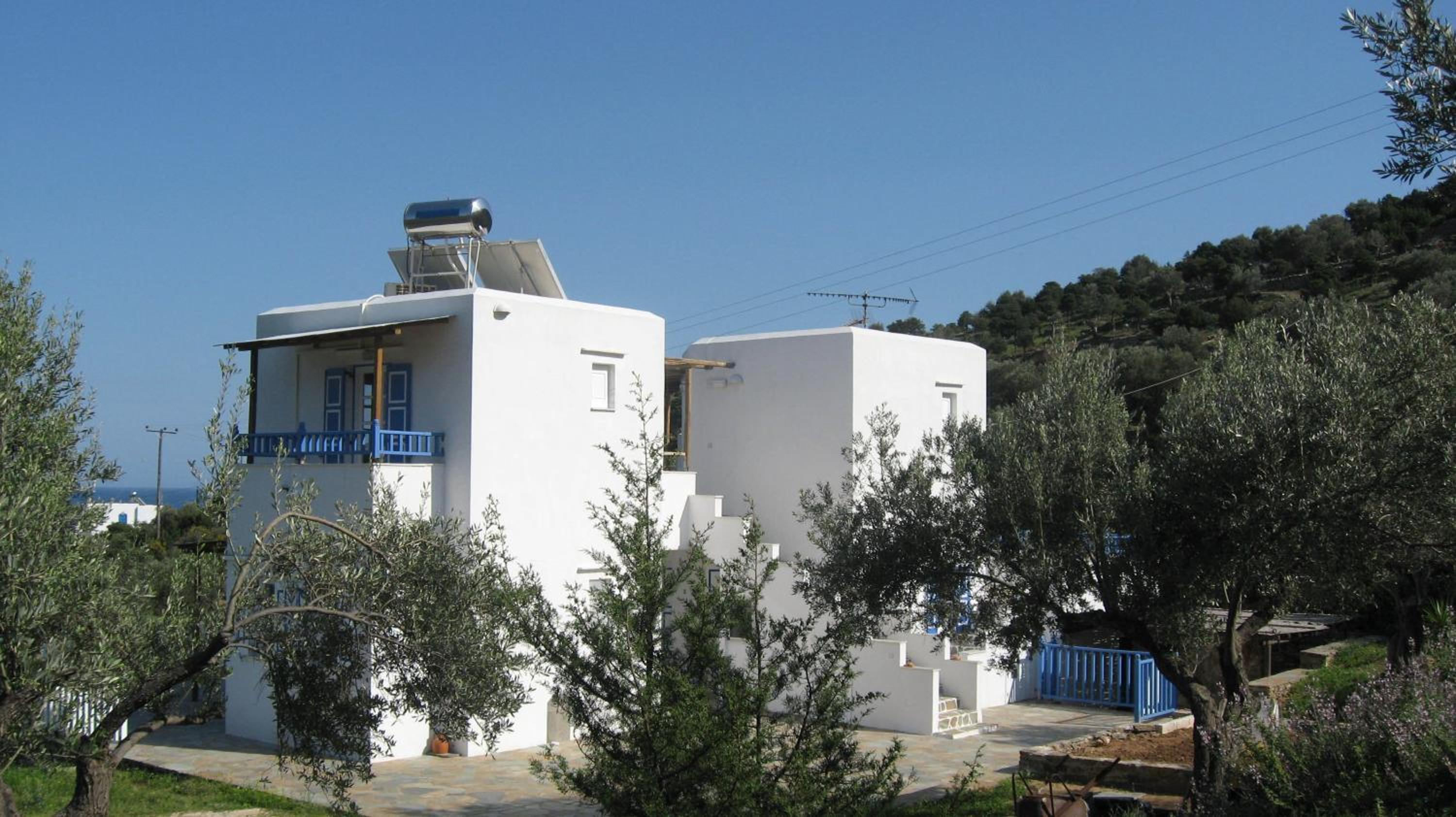 Photo 7