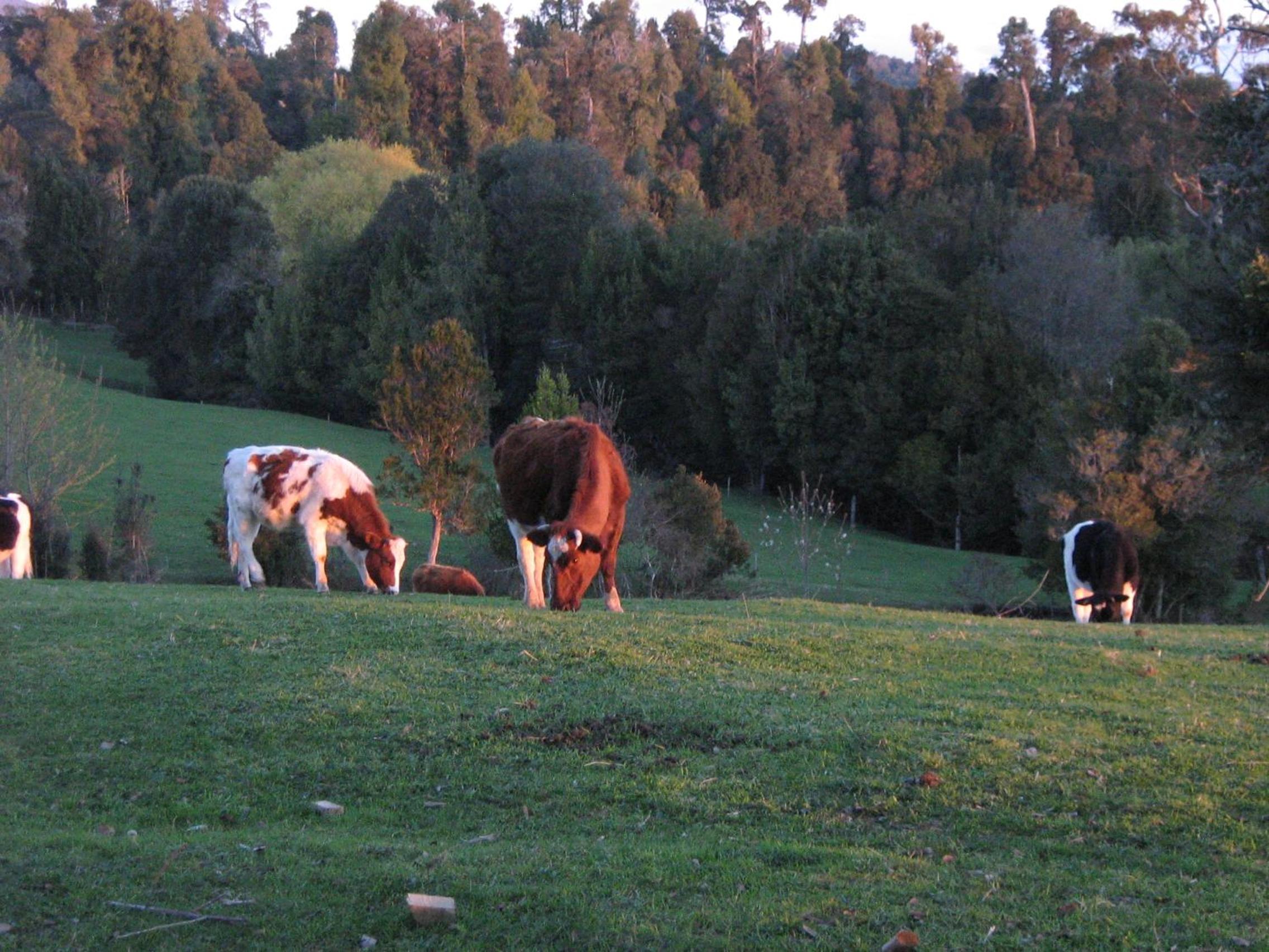 Photo 24